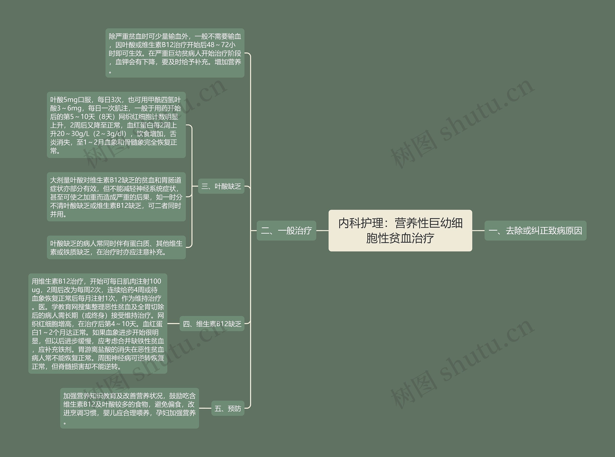 内科护理：营养性巨幼细胞性贫血治疗