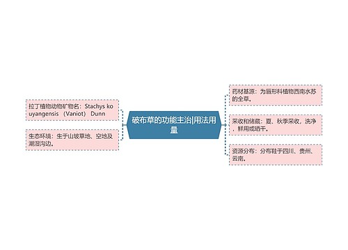 破布草的功能主治|用法用量