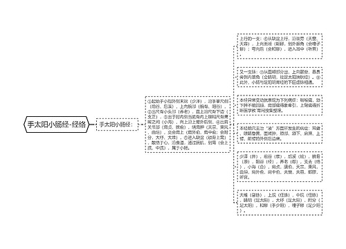 手太阳小肠经-经络