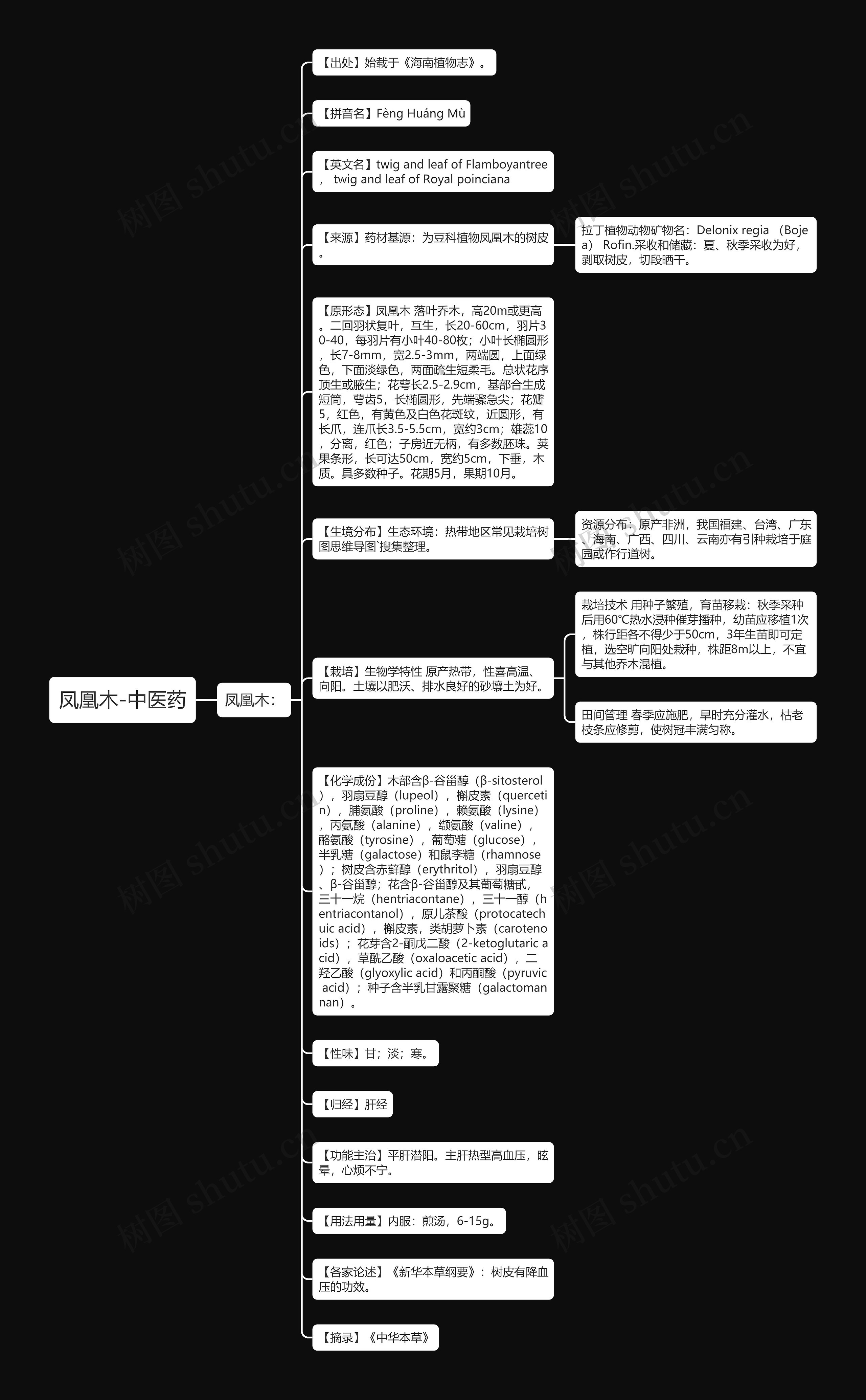 凤凰木-中医药思维导图
