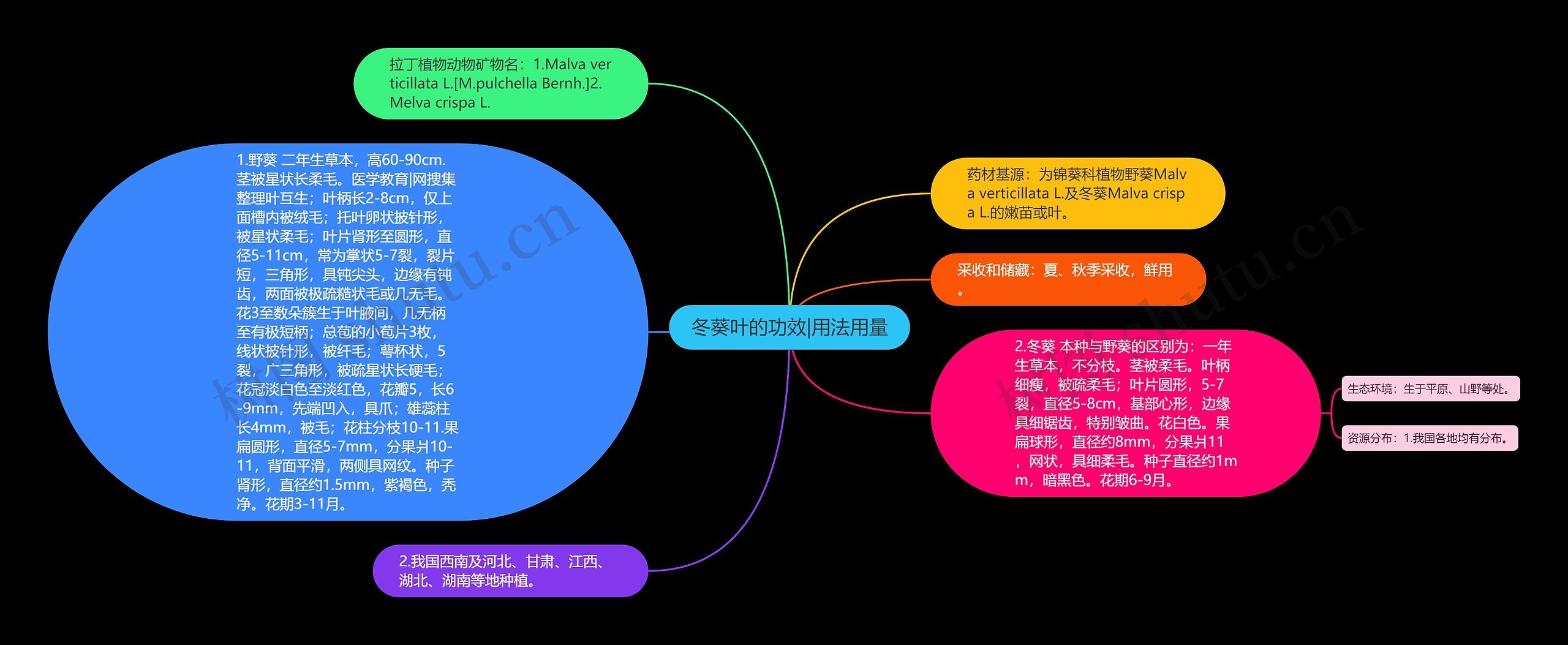 冬葵叶的功效|用法用量 冬葵叶的功效|用法用量