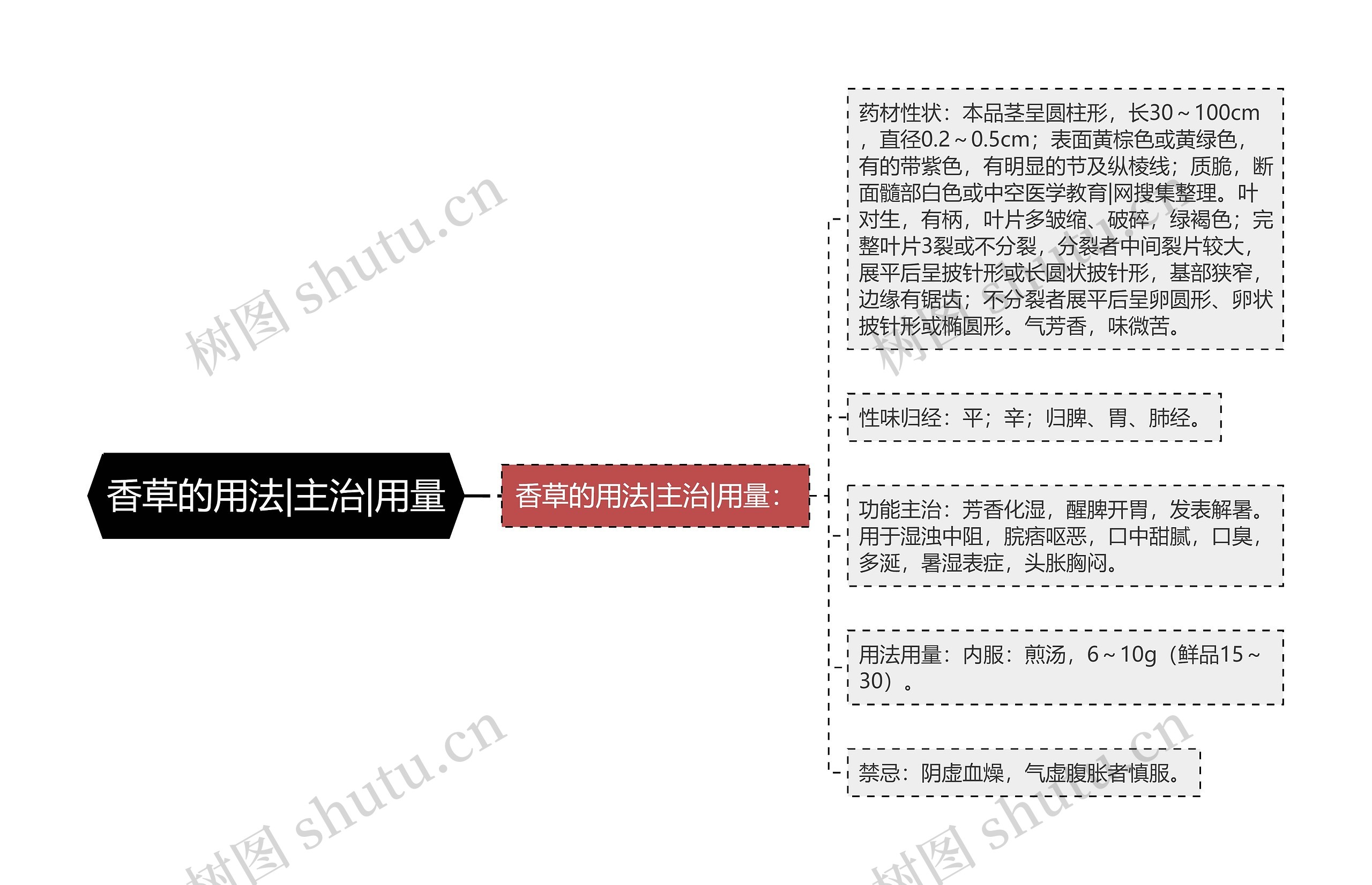 香草的用法|主治|用量思维导图