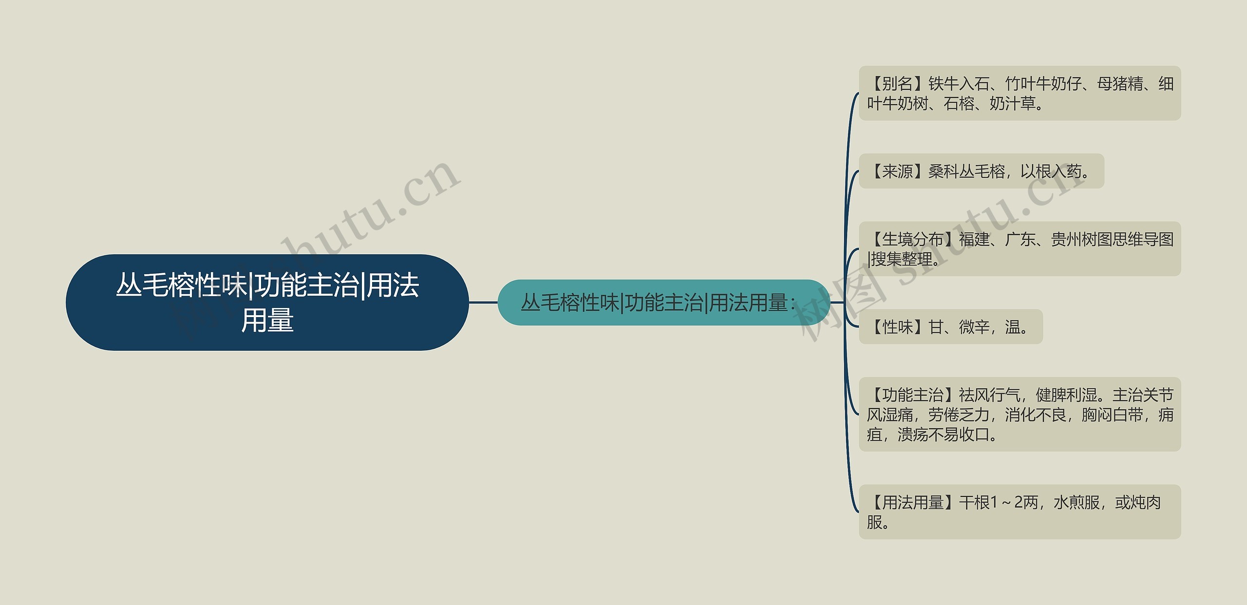 丛毛榕性味|功能主治|用法用量思维导图