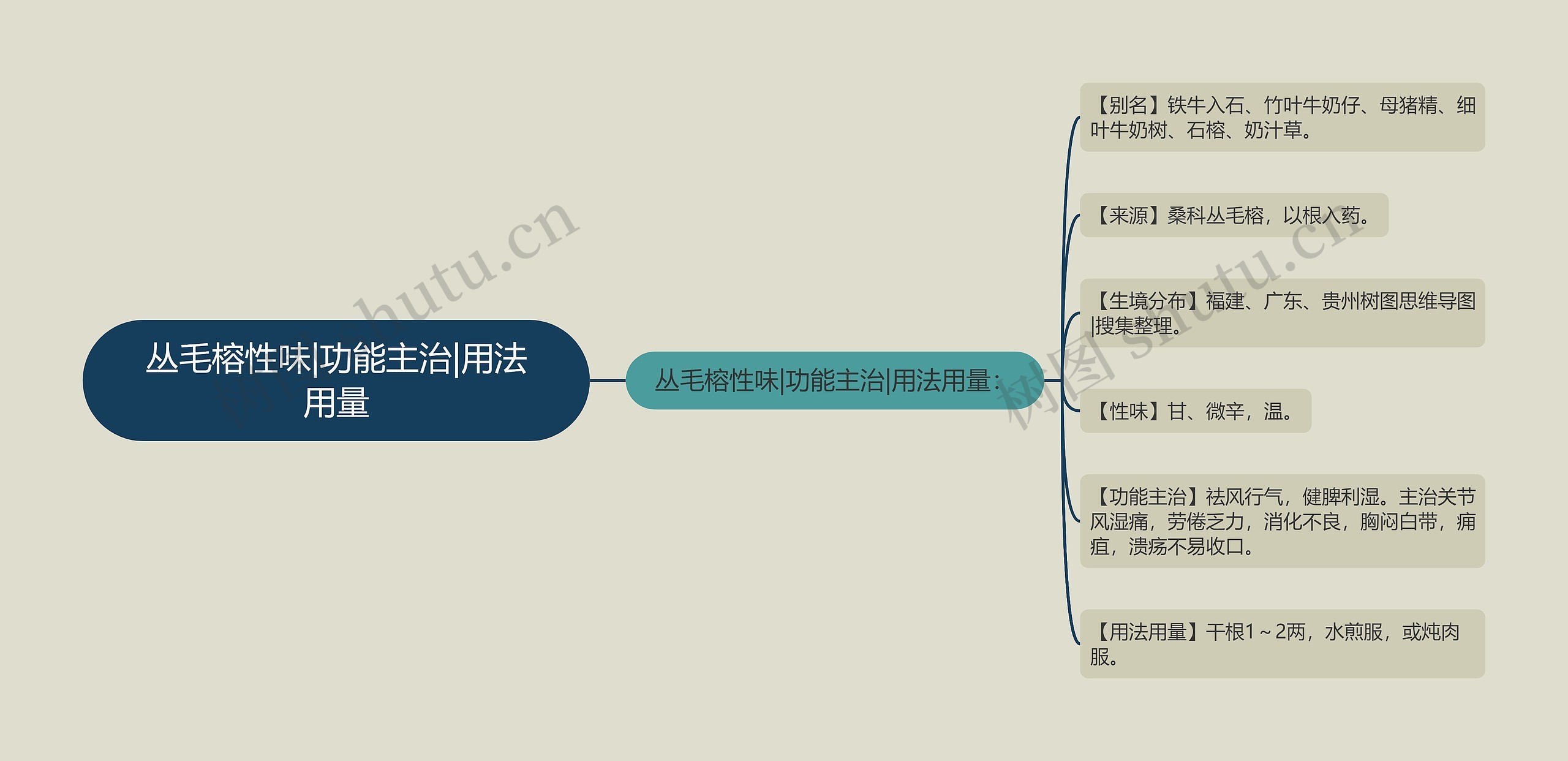 丛毛榕性味|功能主治|用法用量 丛毛榕性味|功能主治|用法用量