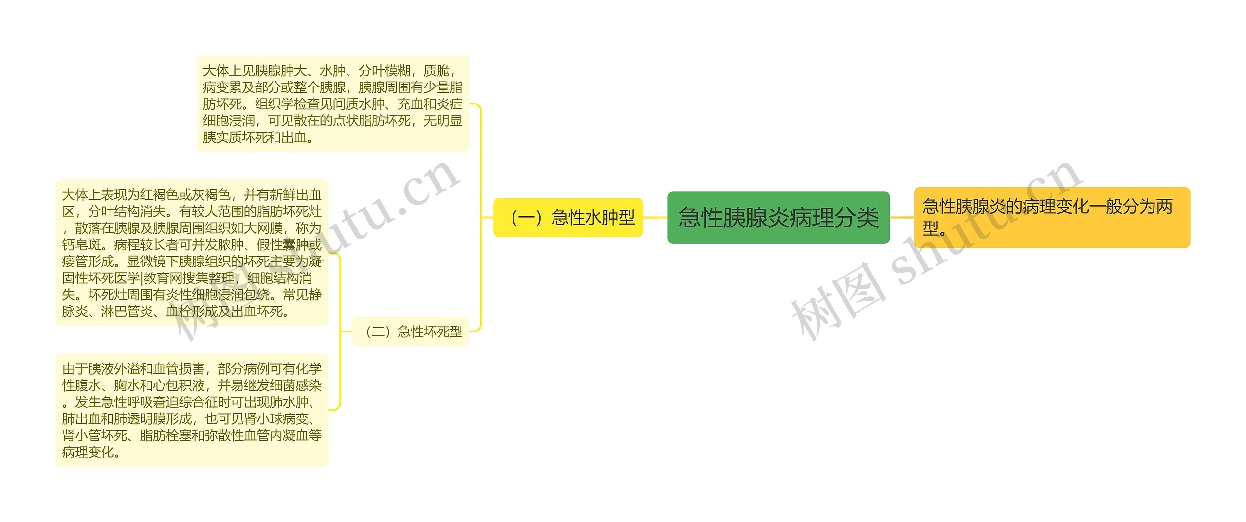 急性胰腺炎病理分类思维导图