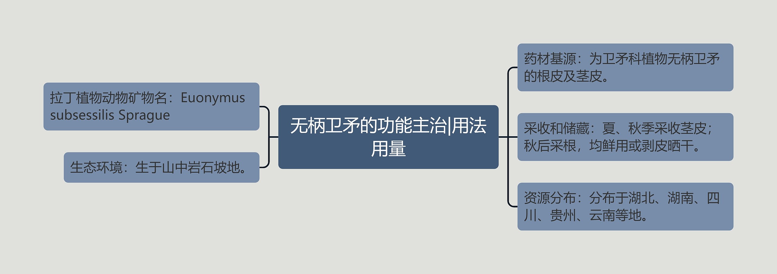 无柄卫矛的功能主治|用法用量思维导图