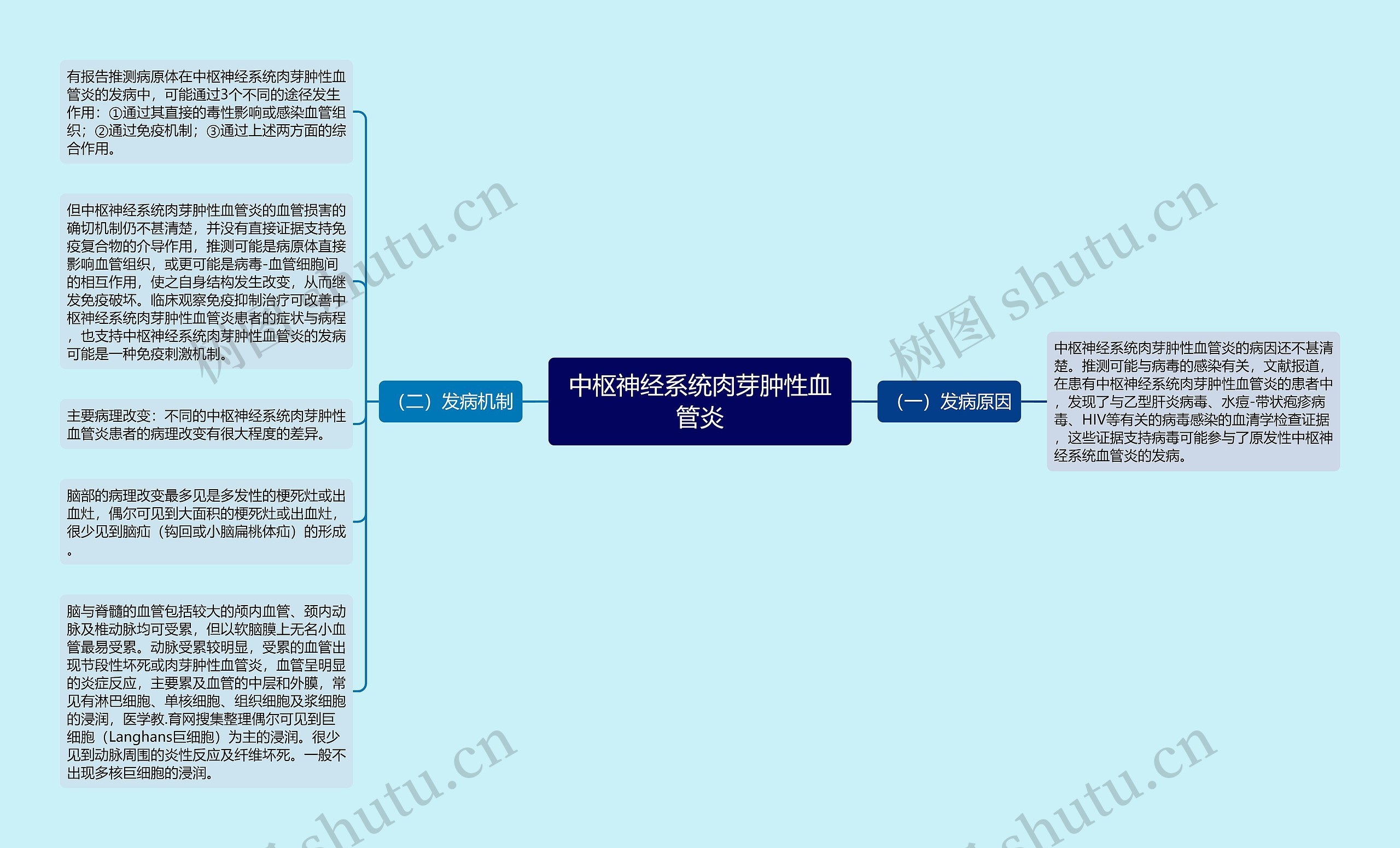 中枢神经系统肉芽肿性血管炎