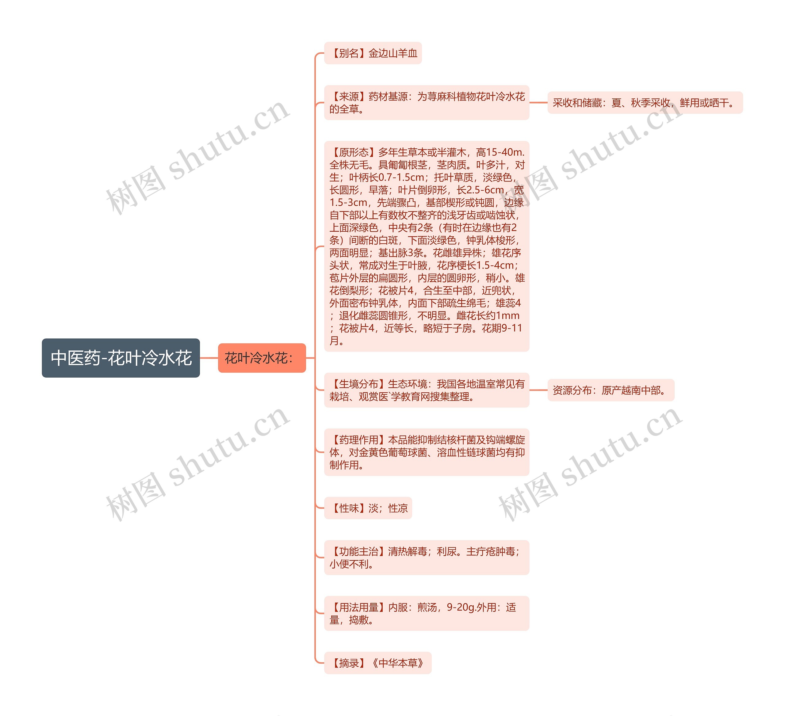 中医药-花叶冷水花思维导图