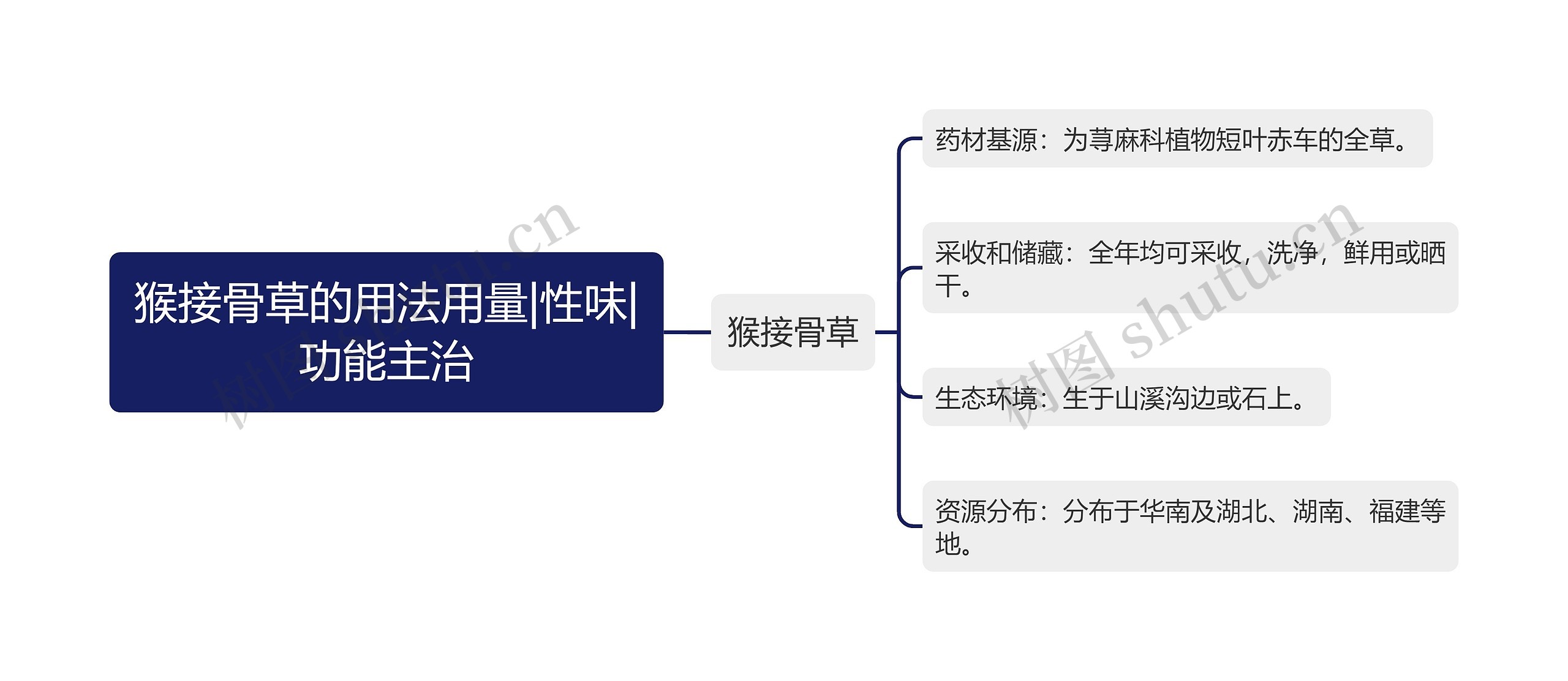 猴接骨草的用法用量|性味|功能主治思维导图