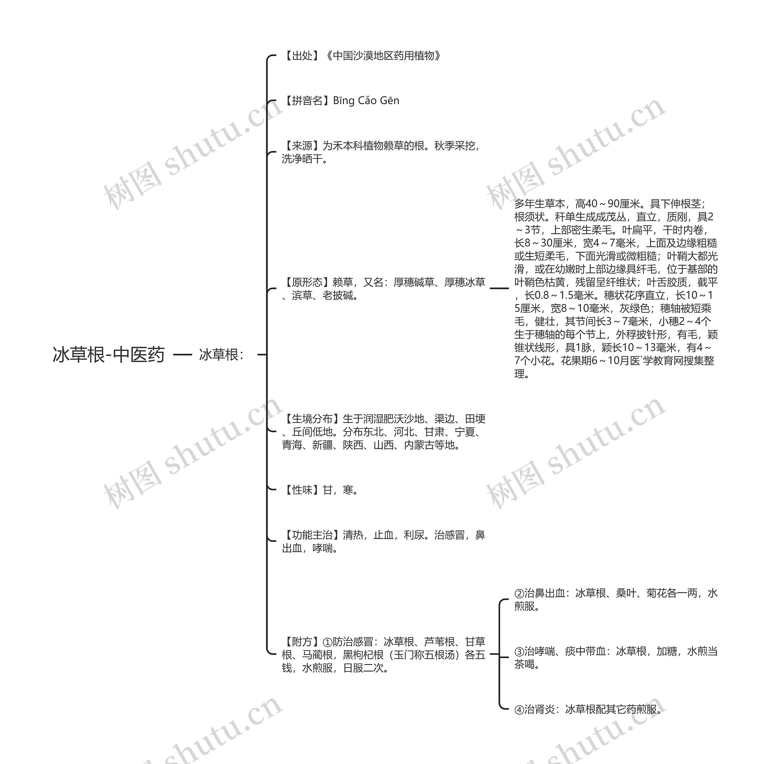 冰草根-中医药思维导图