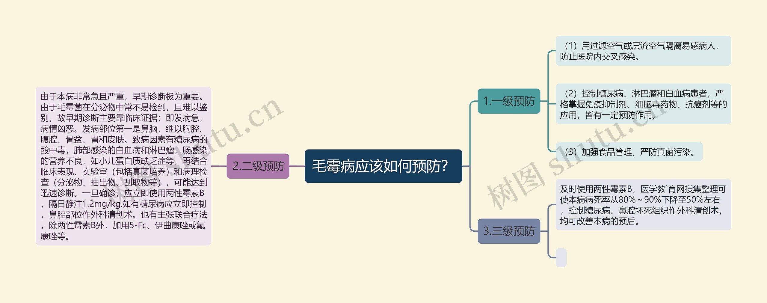 毛霉病应该如何预防？思维导图