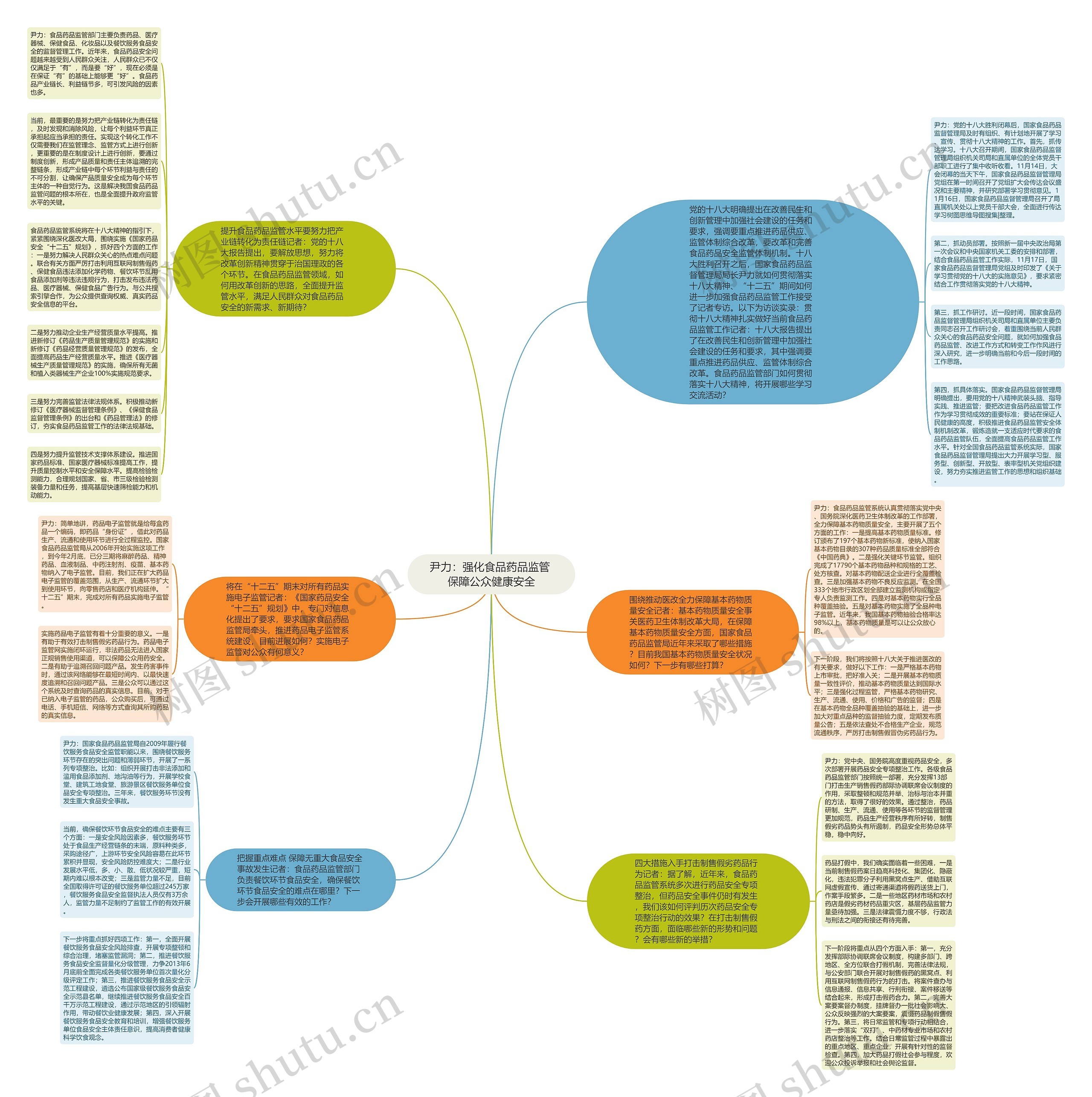 尹力：强化食品药品监管 保障公众健康安全思维导图