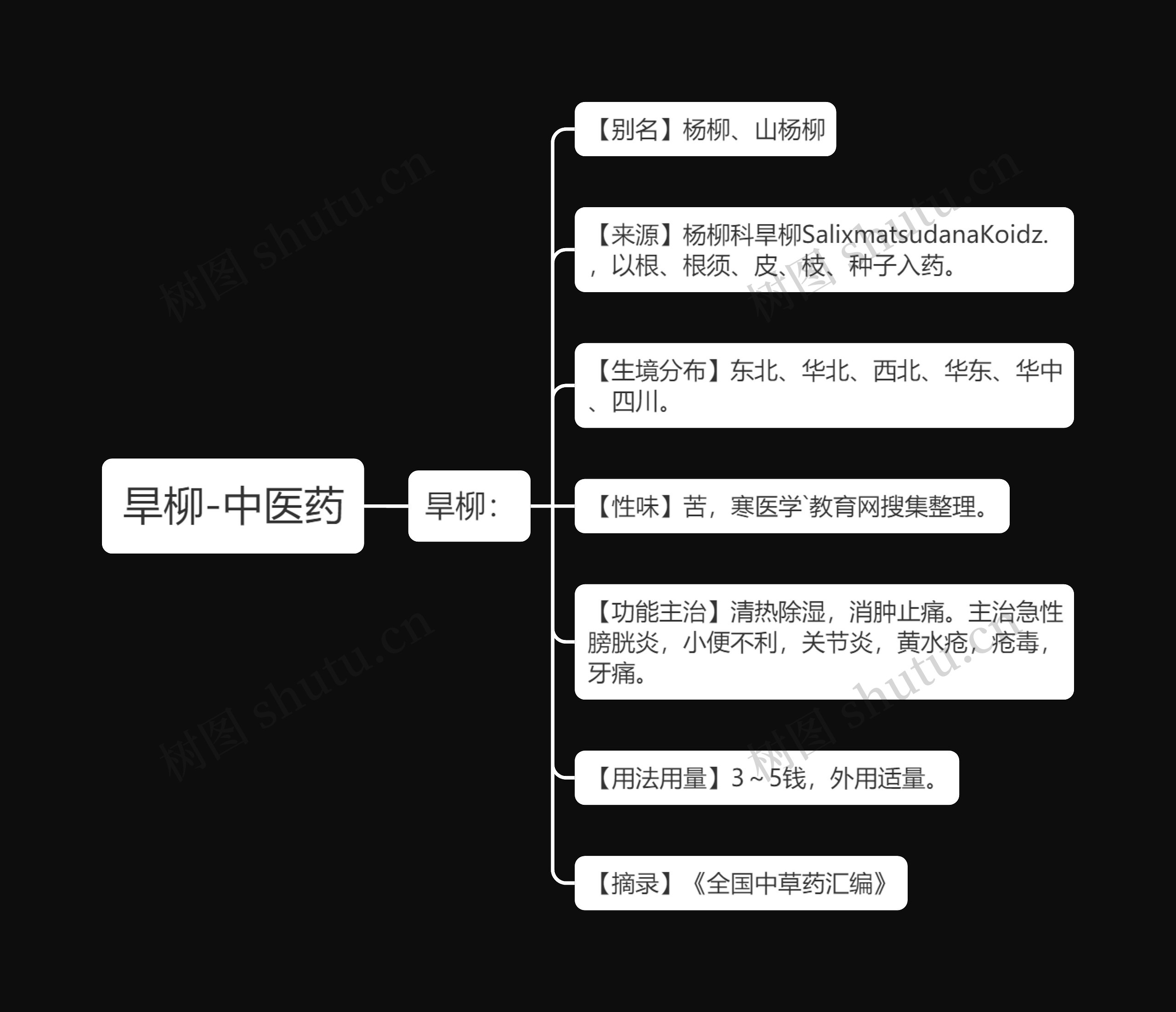 旱柳-中医药 旱柳-中医药