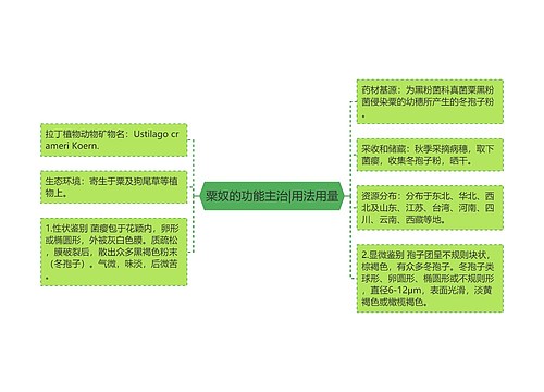 粟奴的功能主治|用法用量