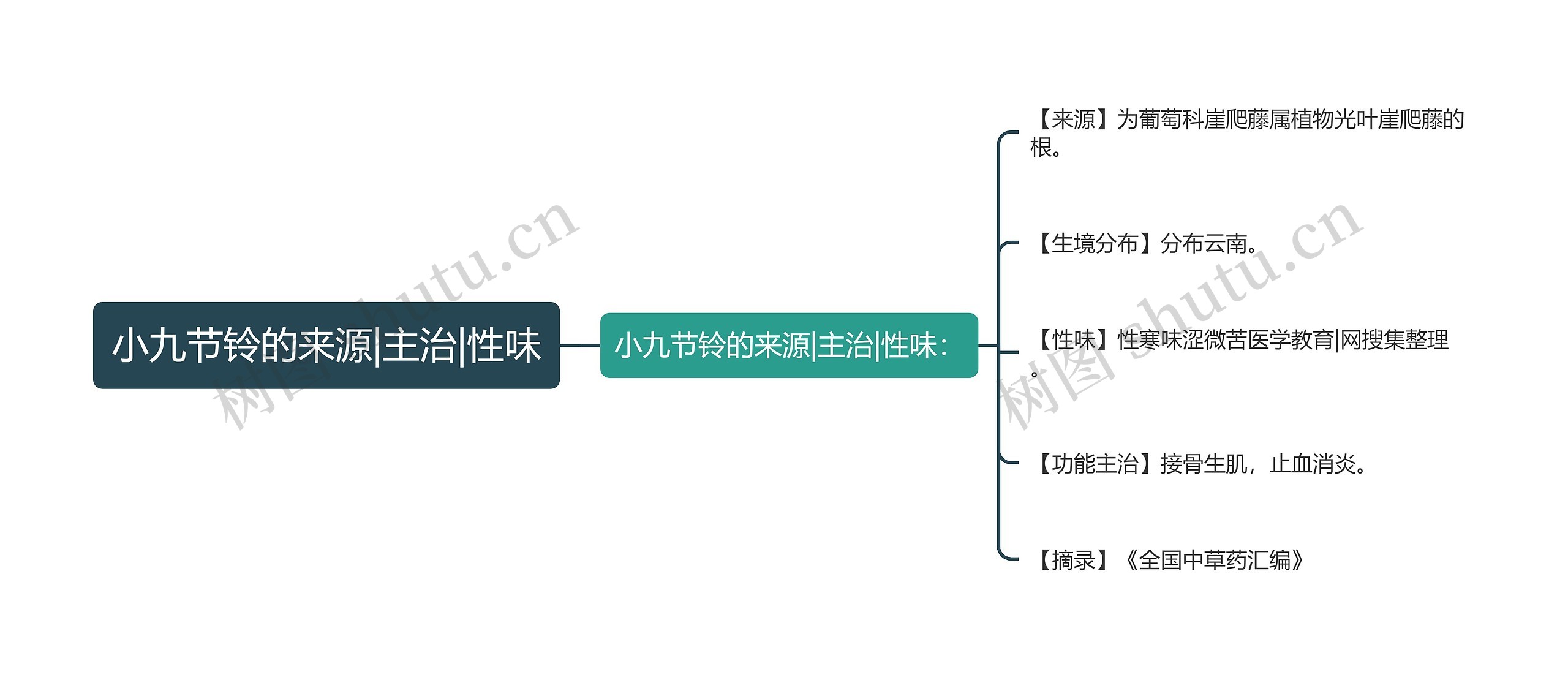 小九节铃的来源|主治|性味