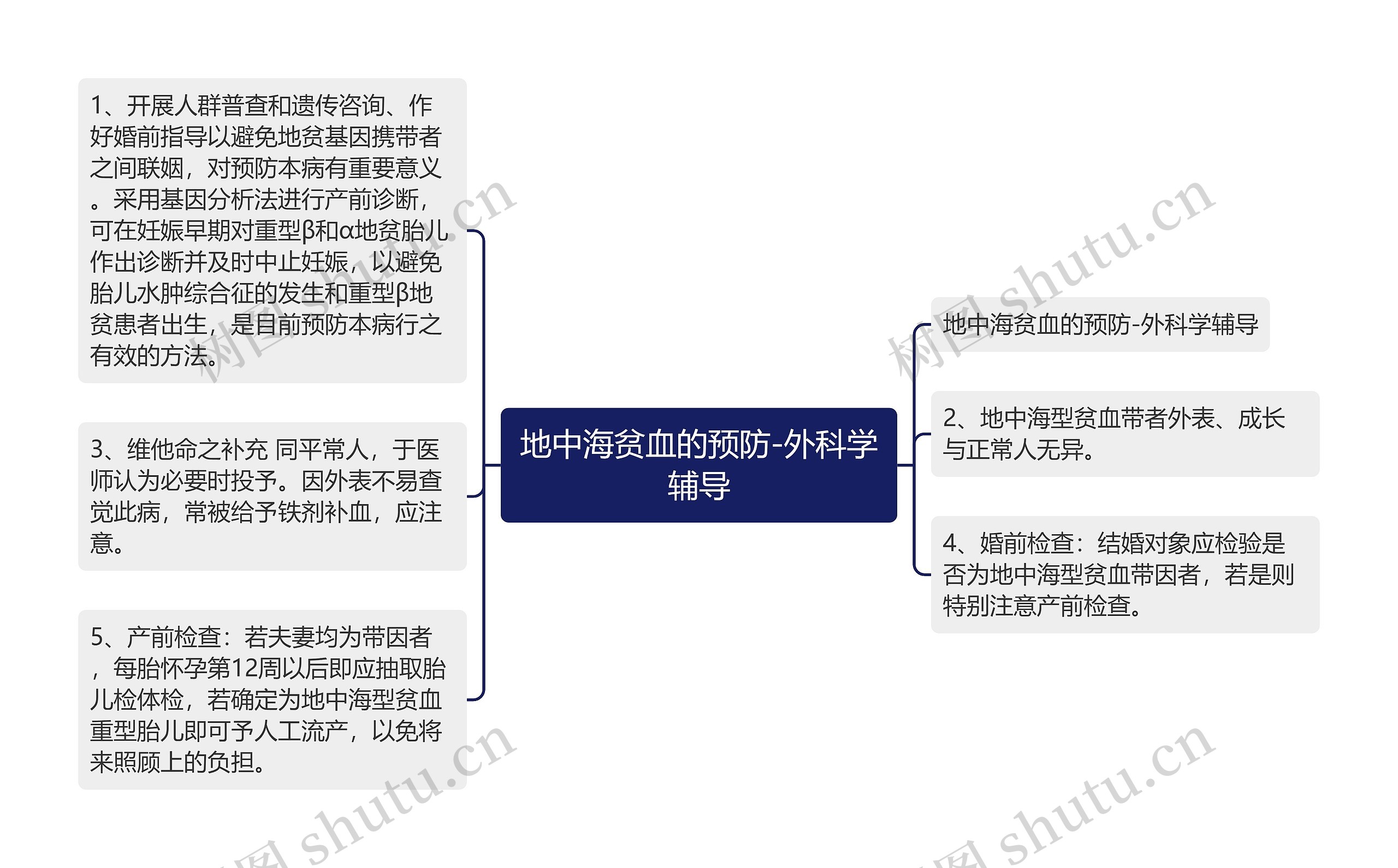 地中海贫血的预防-外科学辅导思维导图