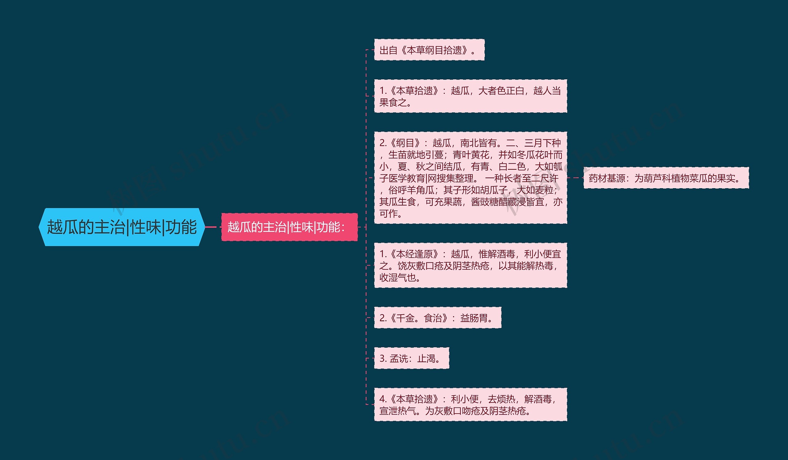 越瓜的主治|性味|功能思维导图