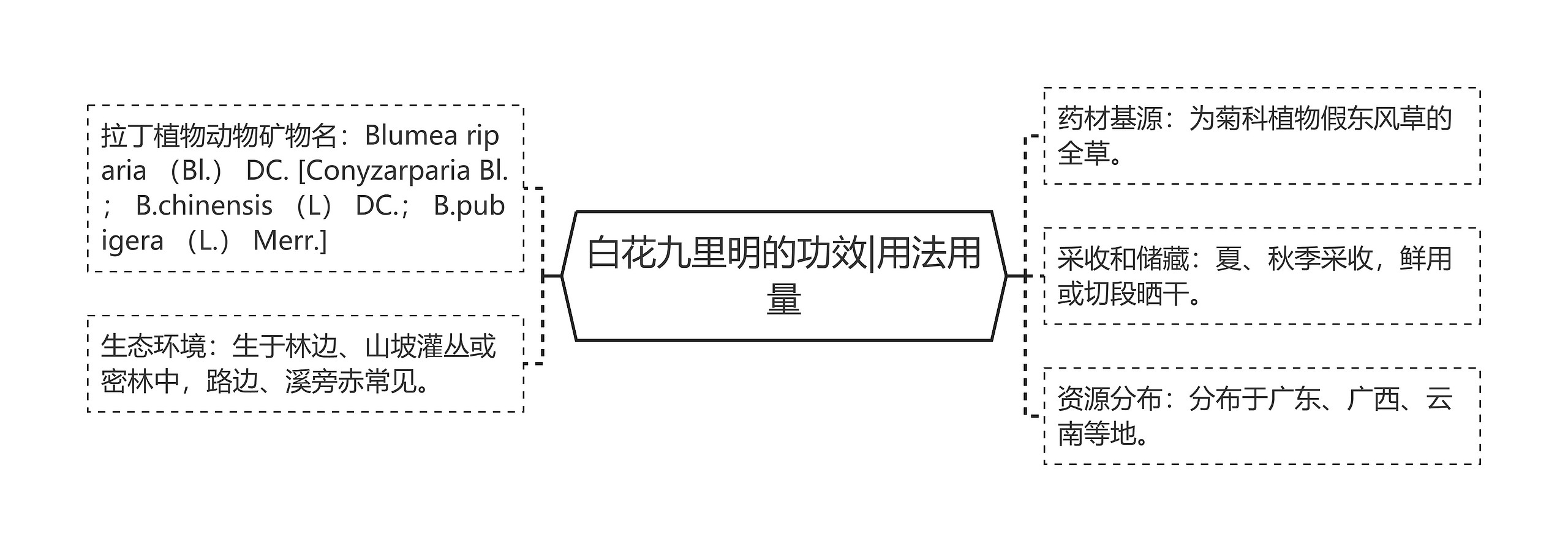 白花九里明的功效|用法用量