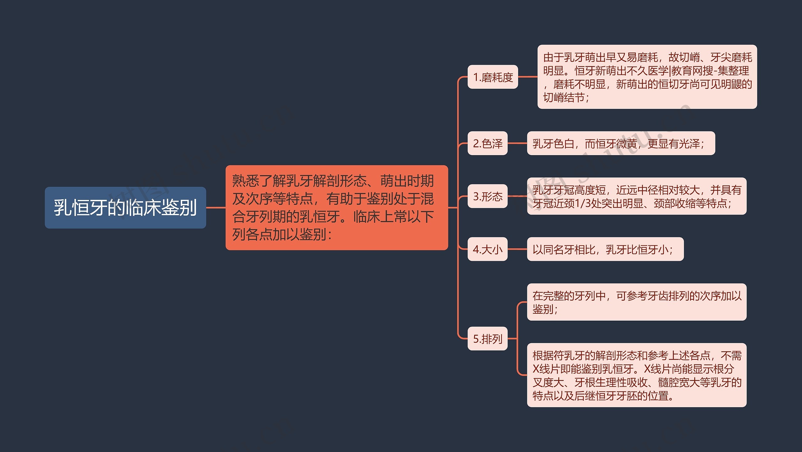 乳恒牙的临床鉴别