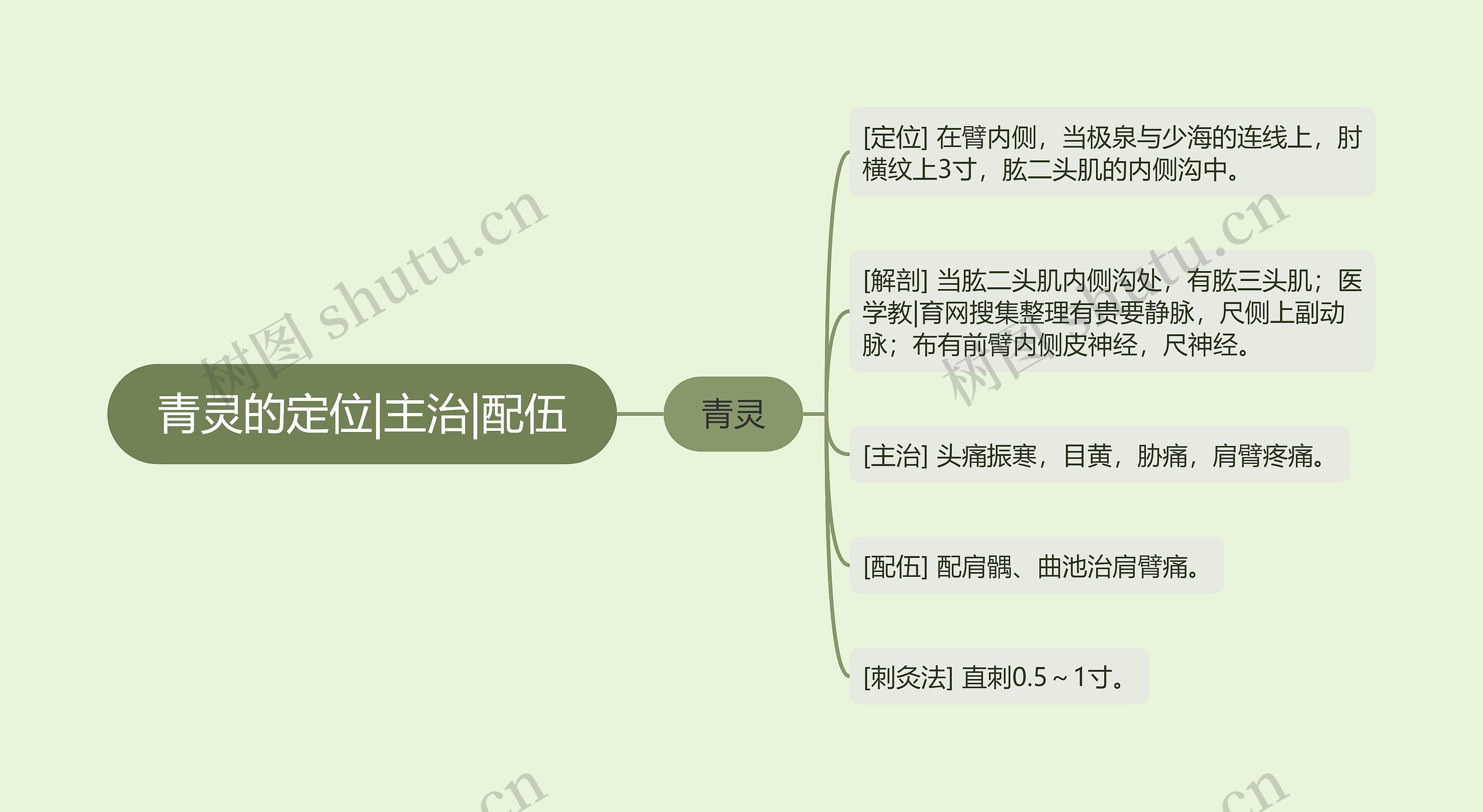 青灵的定位|主治|配伍思维导图