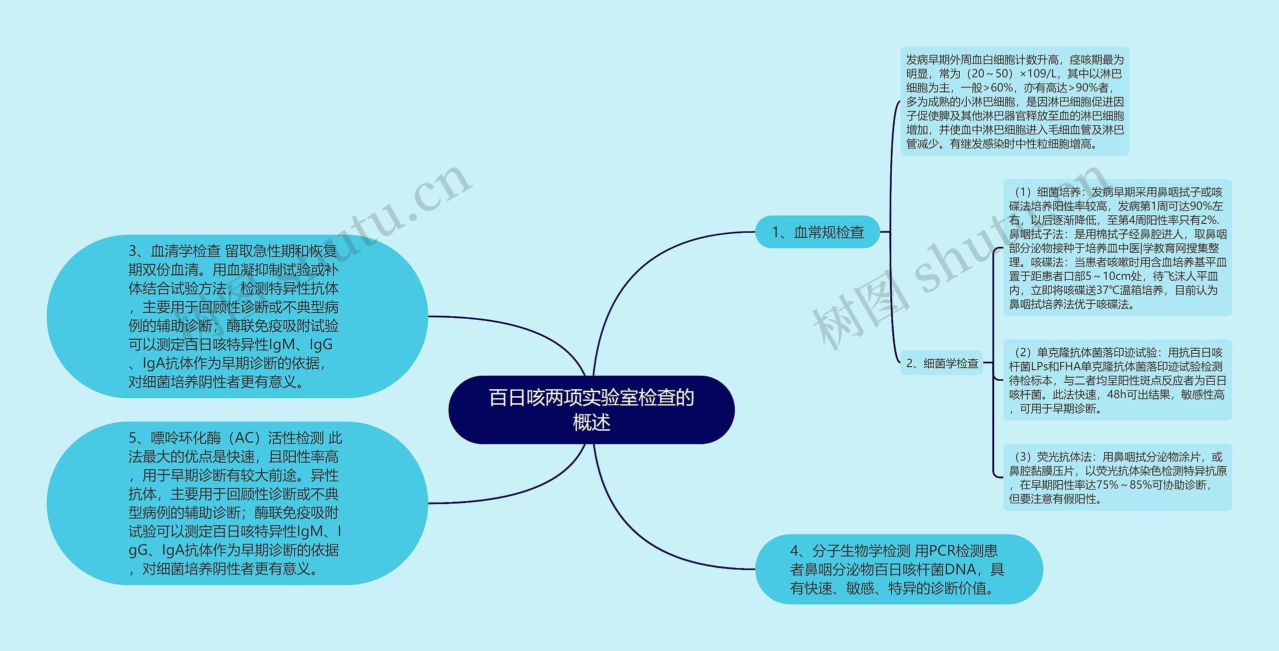 百日咳两项实验室检查的概述思维导图