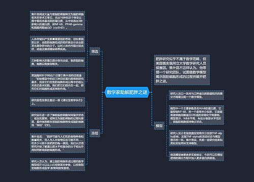 数学家助解肥胖之谜