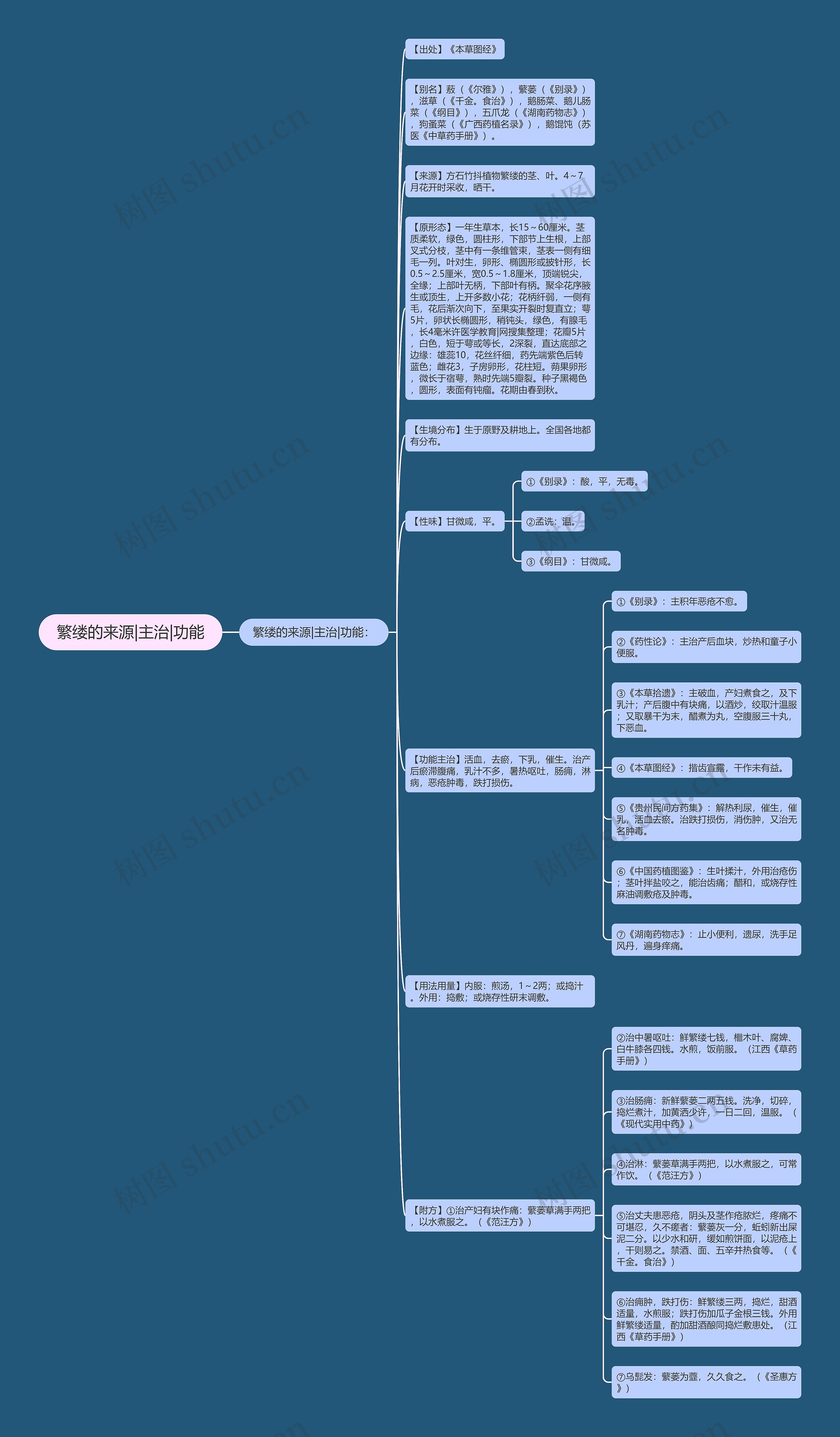 繁缕的来源|主治|功能思维导图