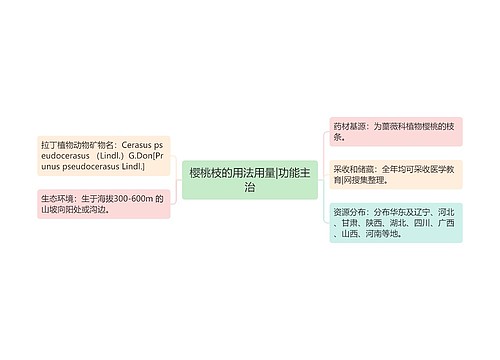 樱桃枝的用法用量|功能主治