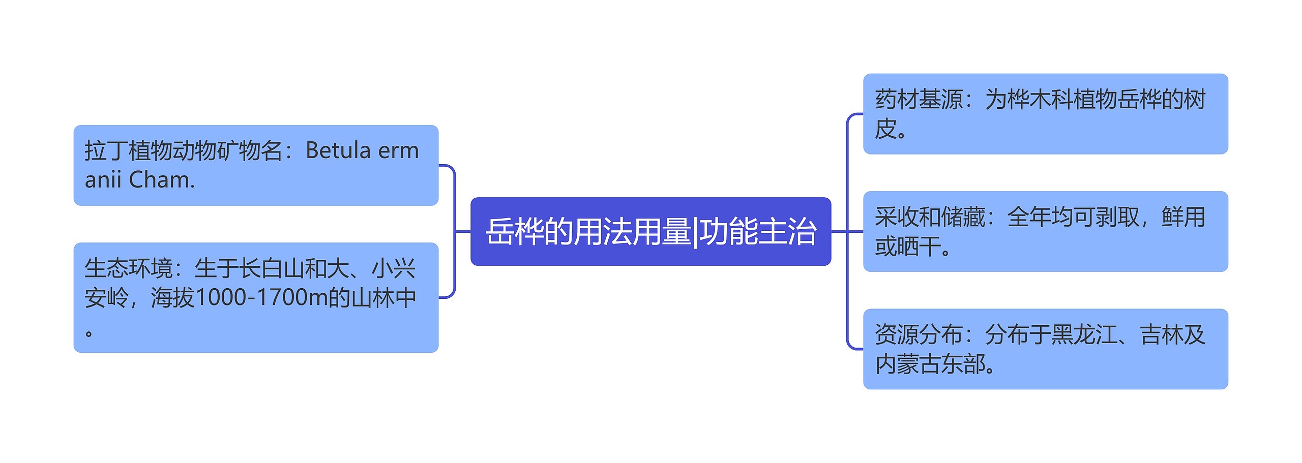 岳桦的用法用量|功能主治思维导图