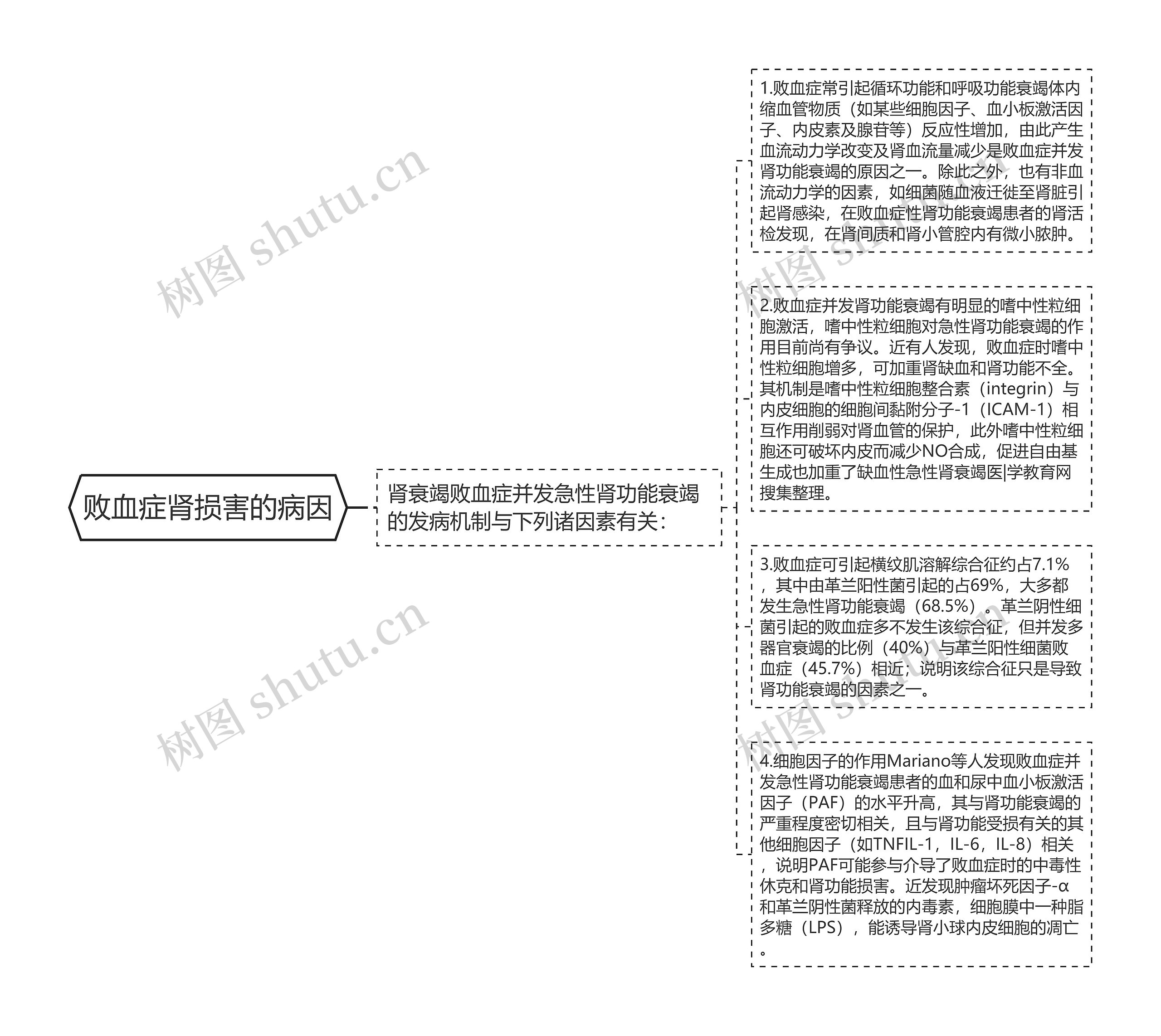 败血症肾损害的病因思维导图