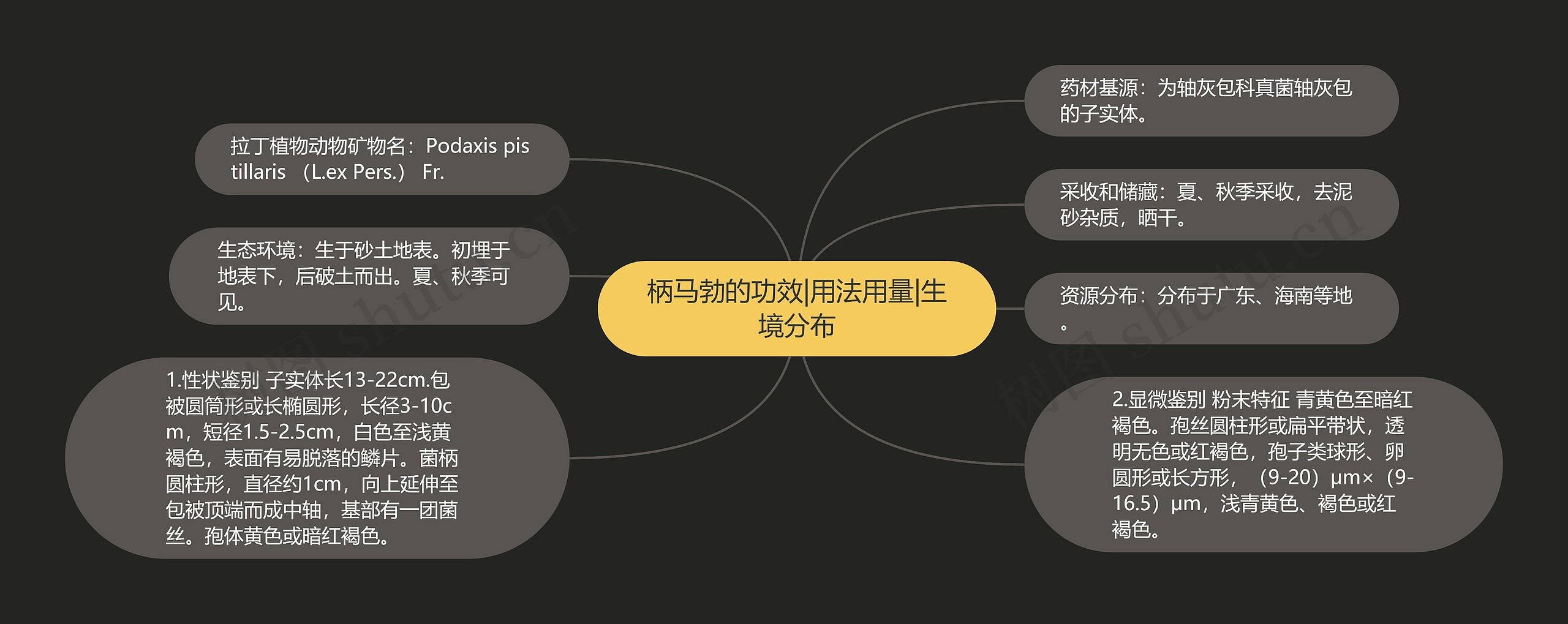 柄马勃的功效|用法用量|生境分布