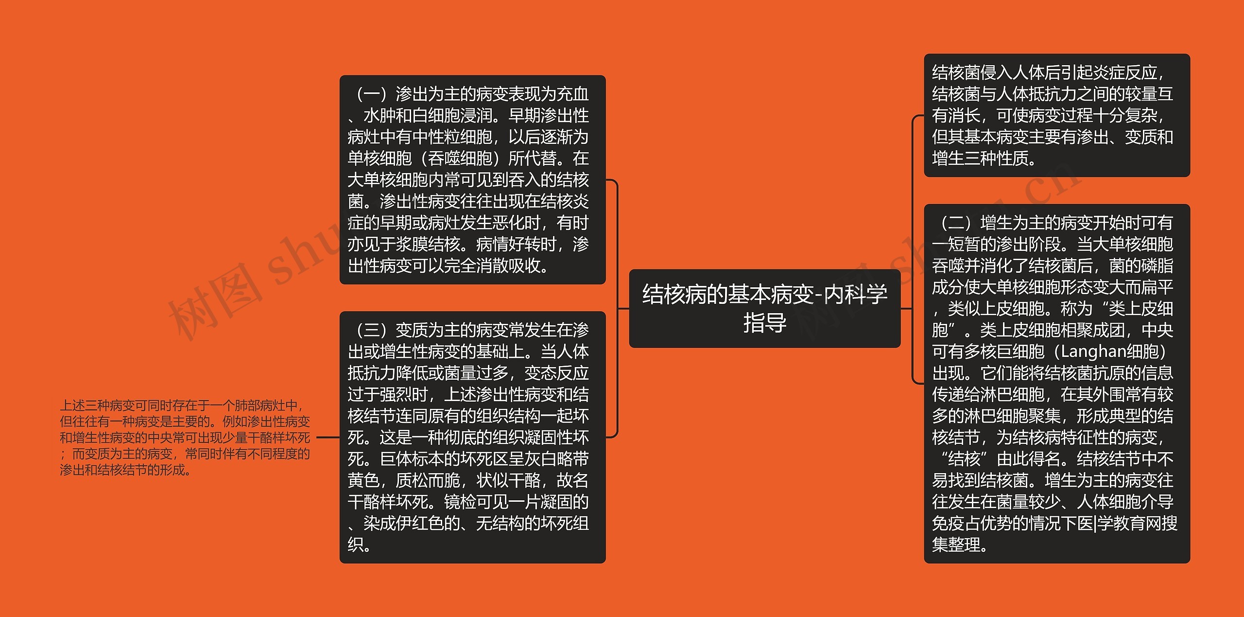 结核病的基本病变-内科学指导