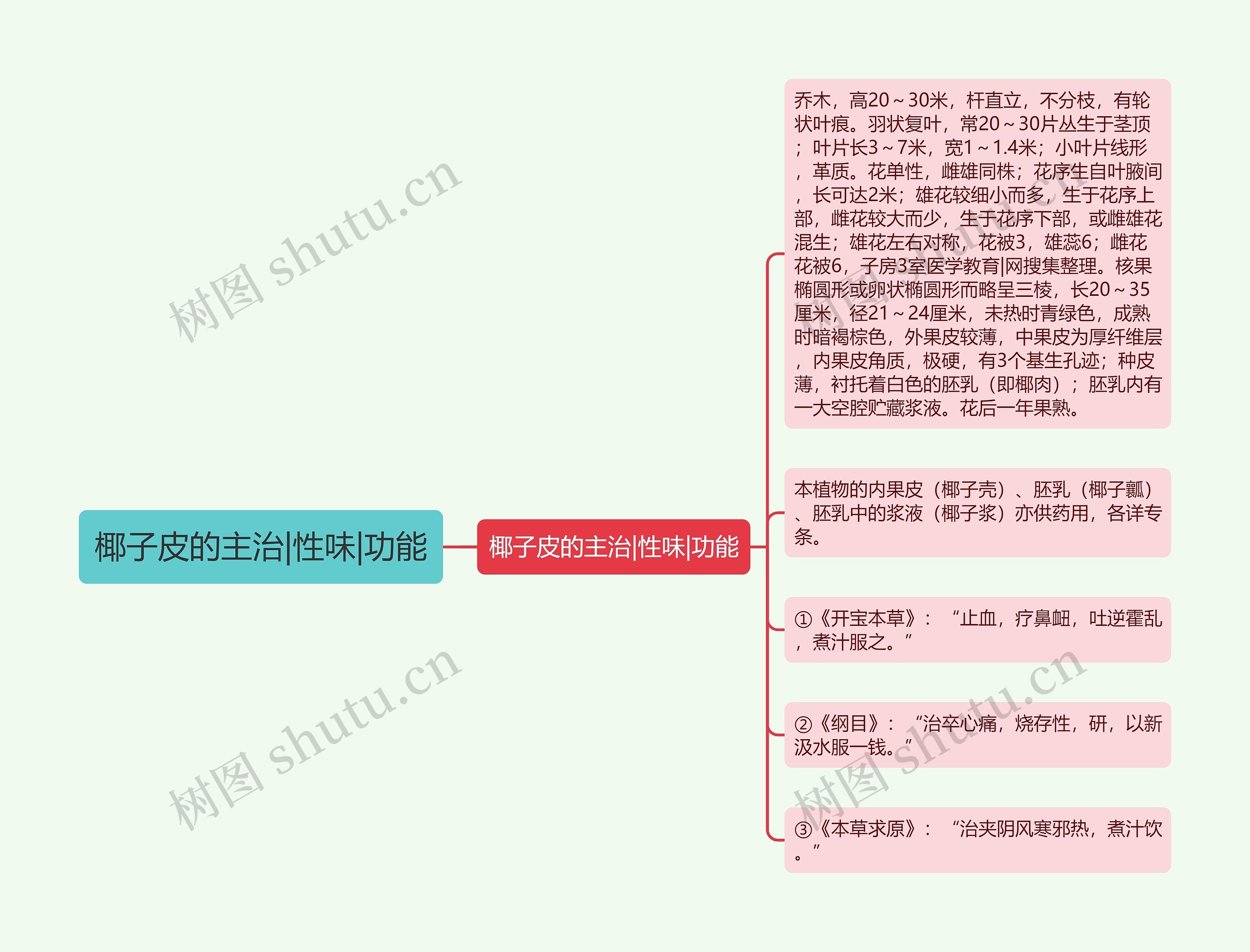 椰子皮的主治|性味|功能思维导图