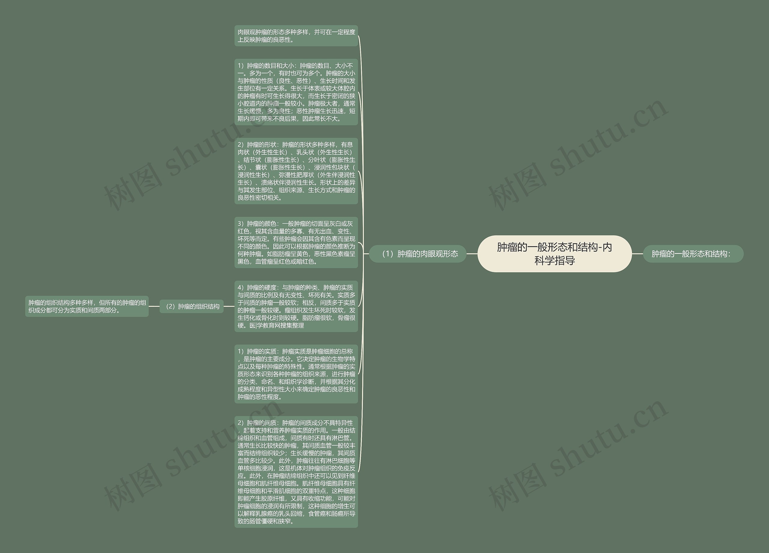 肿瘤的一般形态和结构-内科学指导