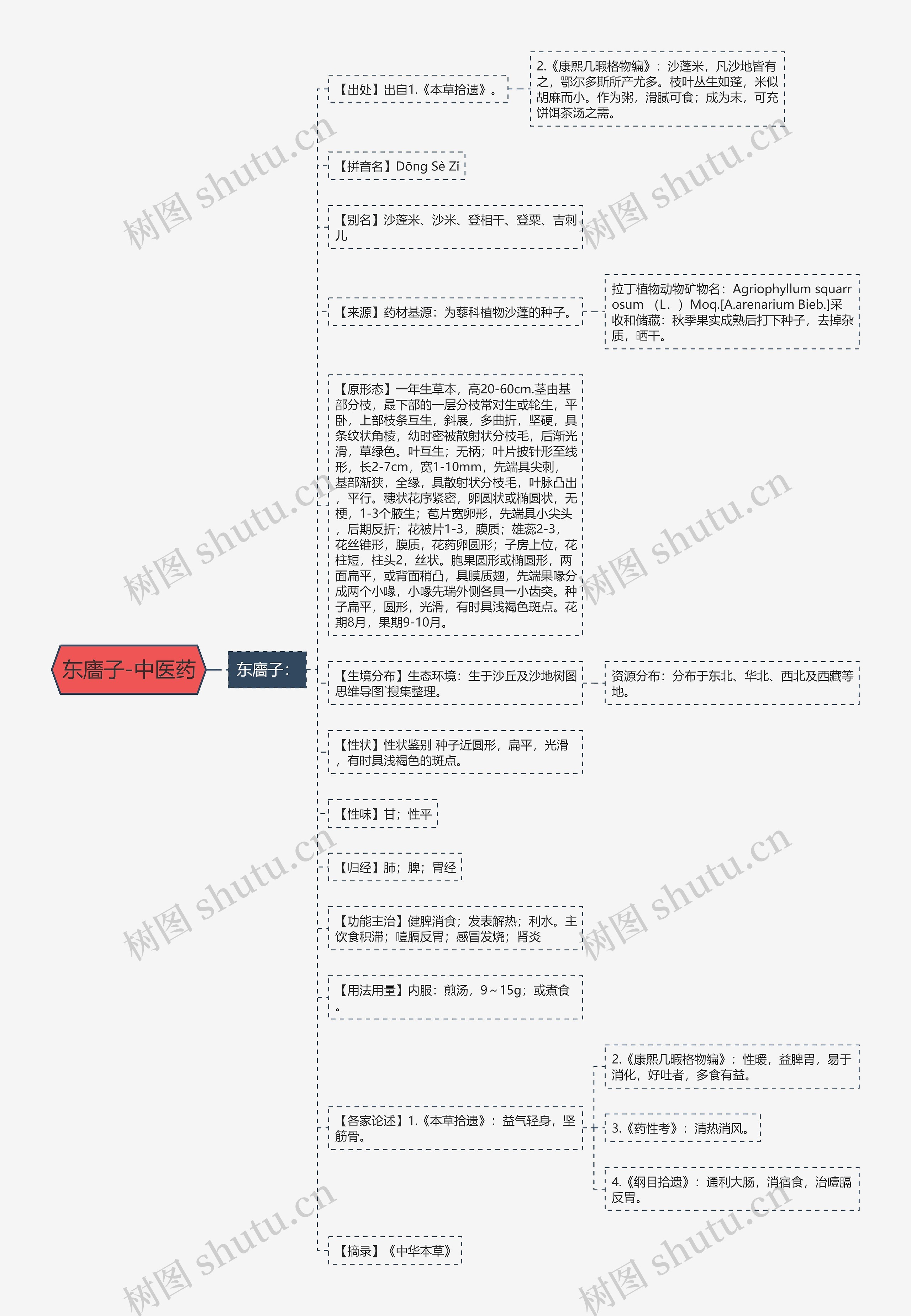 东廧子-中医药思维导图