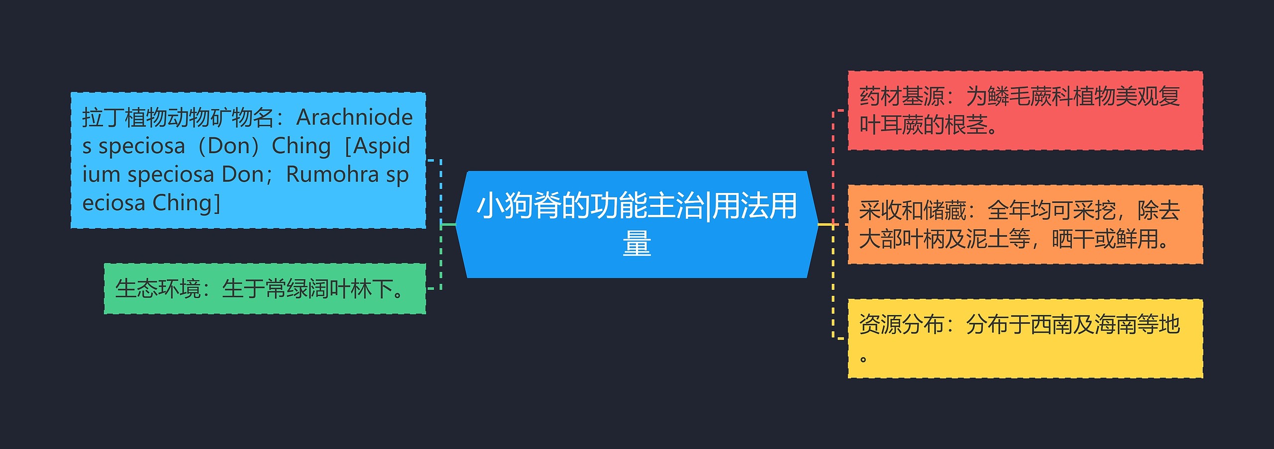 小狗脊的功能主治|用法用量 小狗脊的功能主治|用法用量