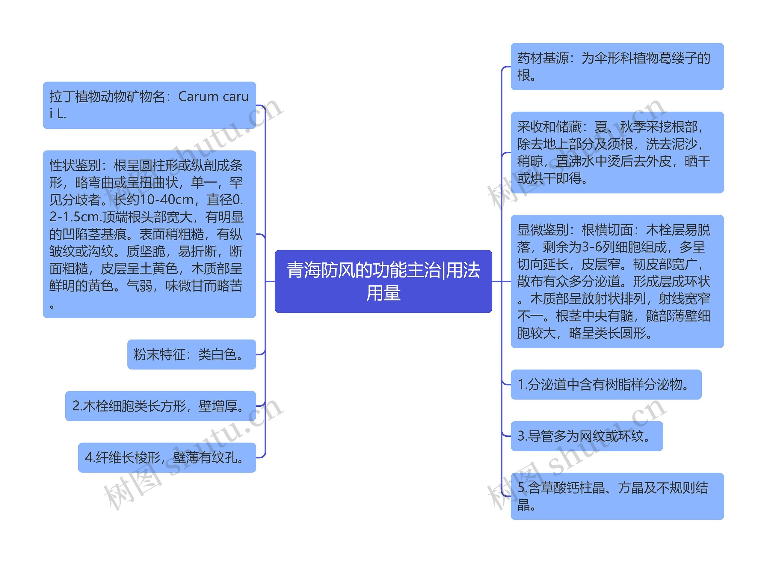 青海防风的功能主治|用法用量