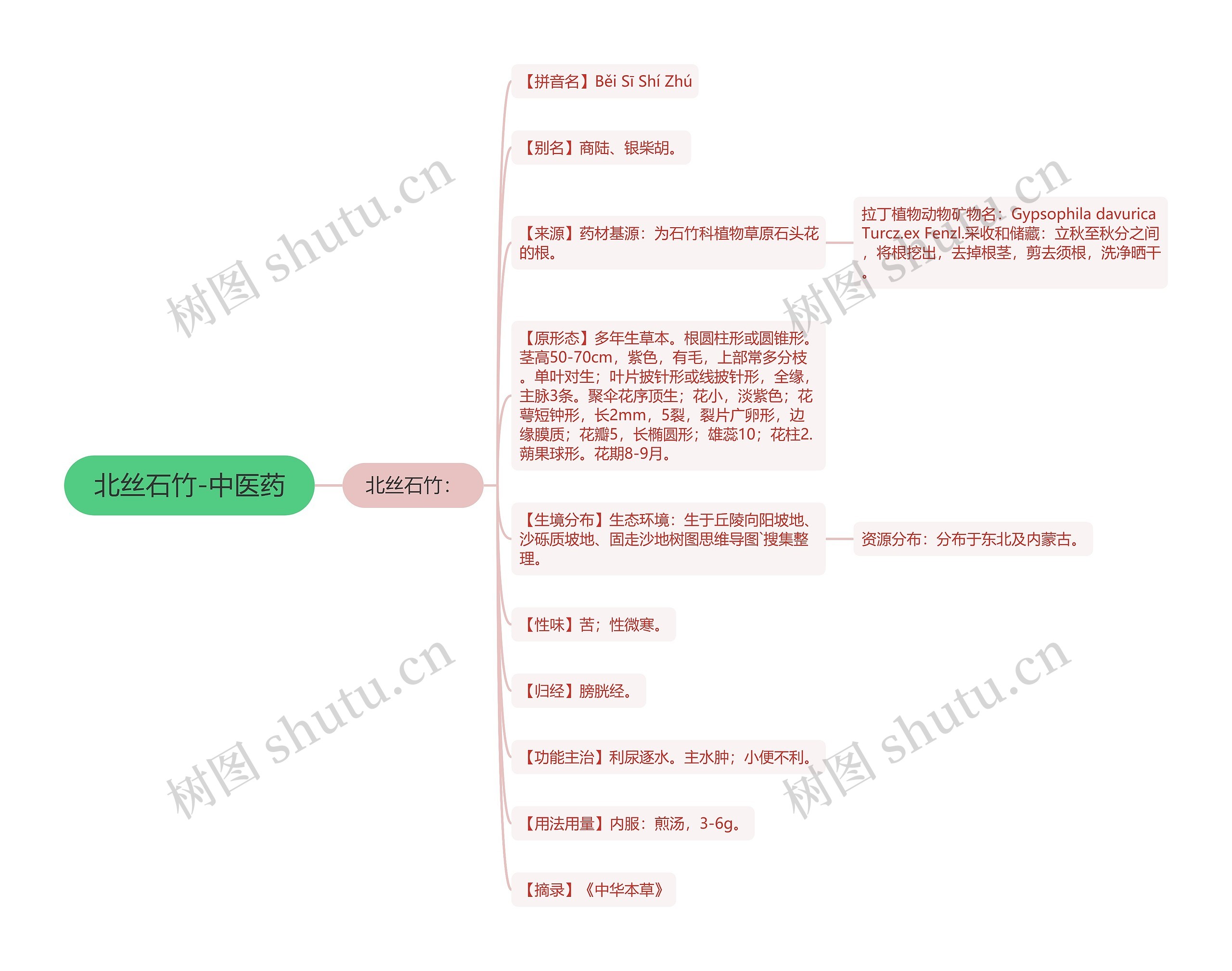 北丝石竹-中医药 北丝石竹-中医药