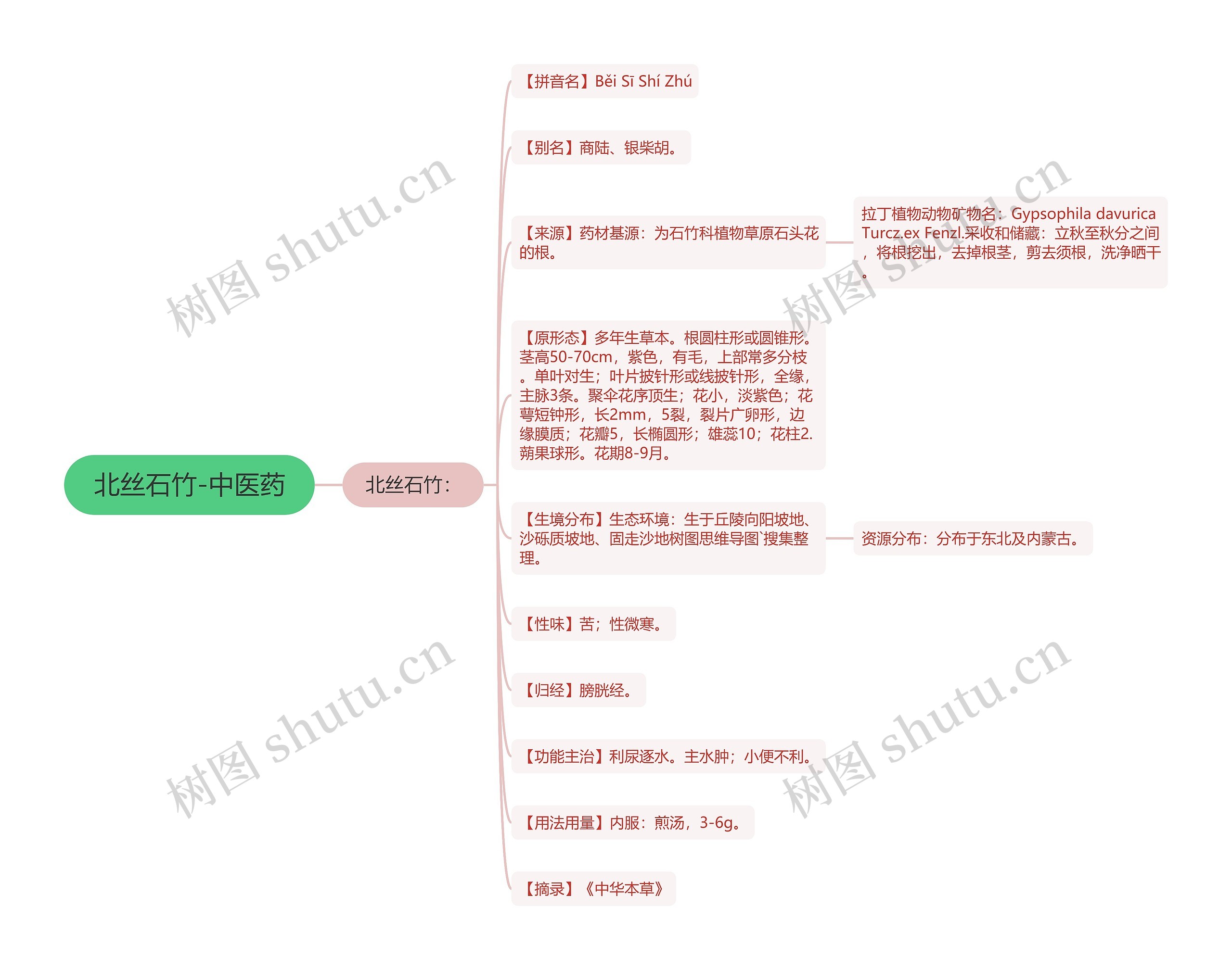 北丝石竹-中医药思维导图