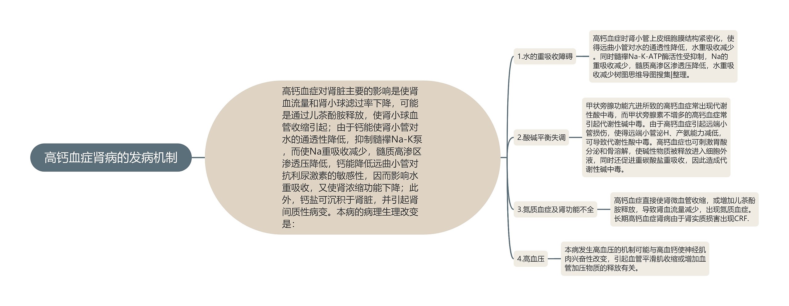 高钙血症肾病的发病机制思维导图