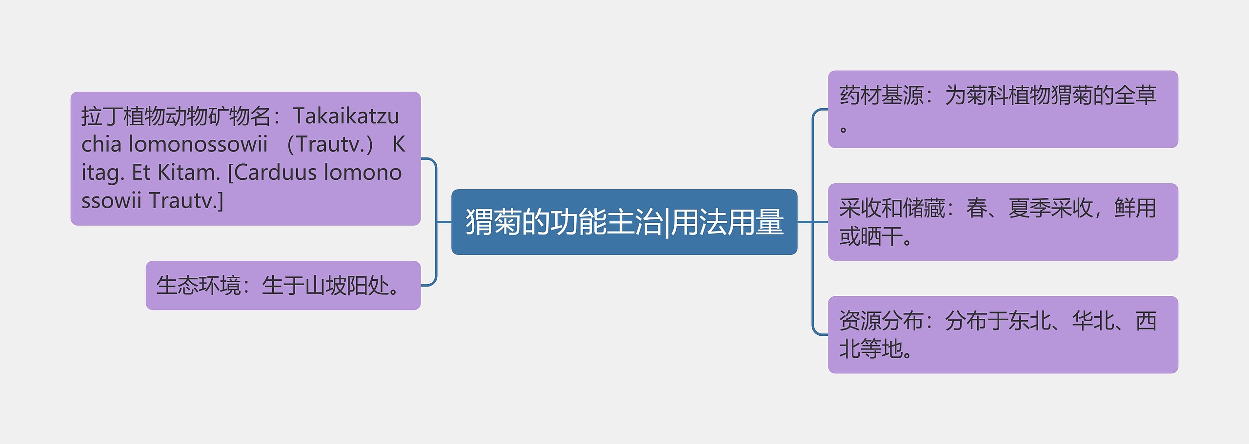 猬菊的功能主治|用法用量思维导图