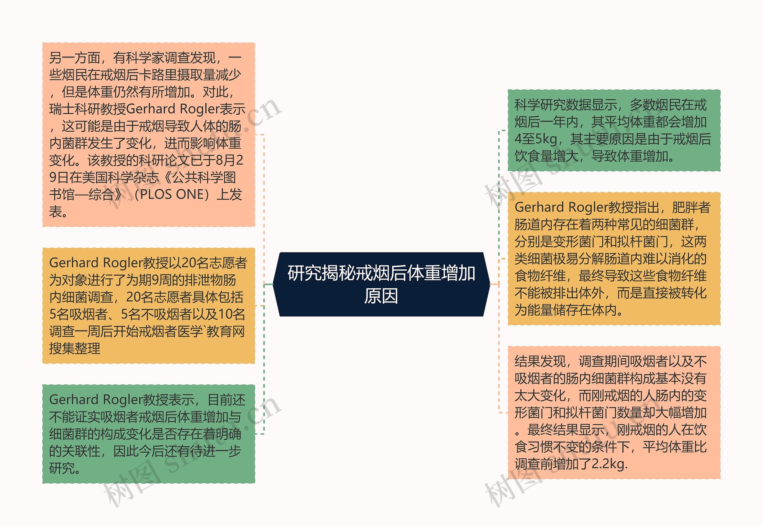 研究揭秘戒烟后体重增加原因思维导图