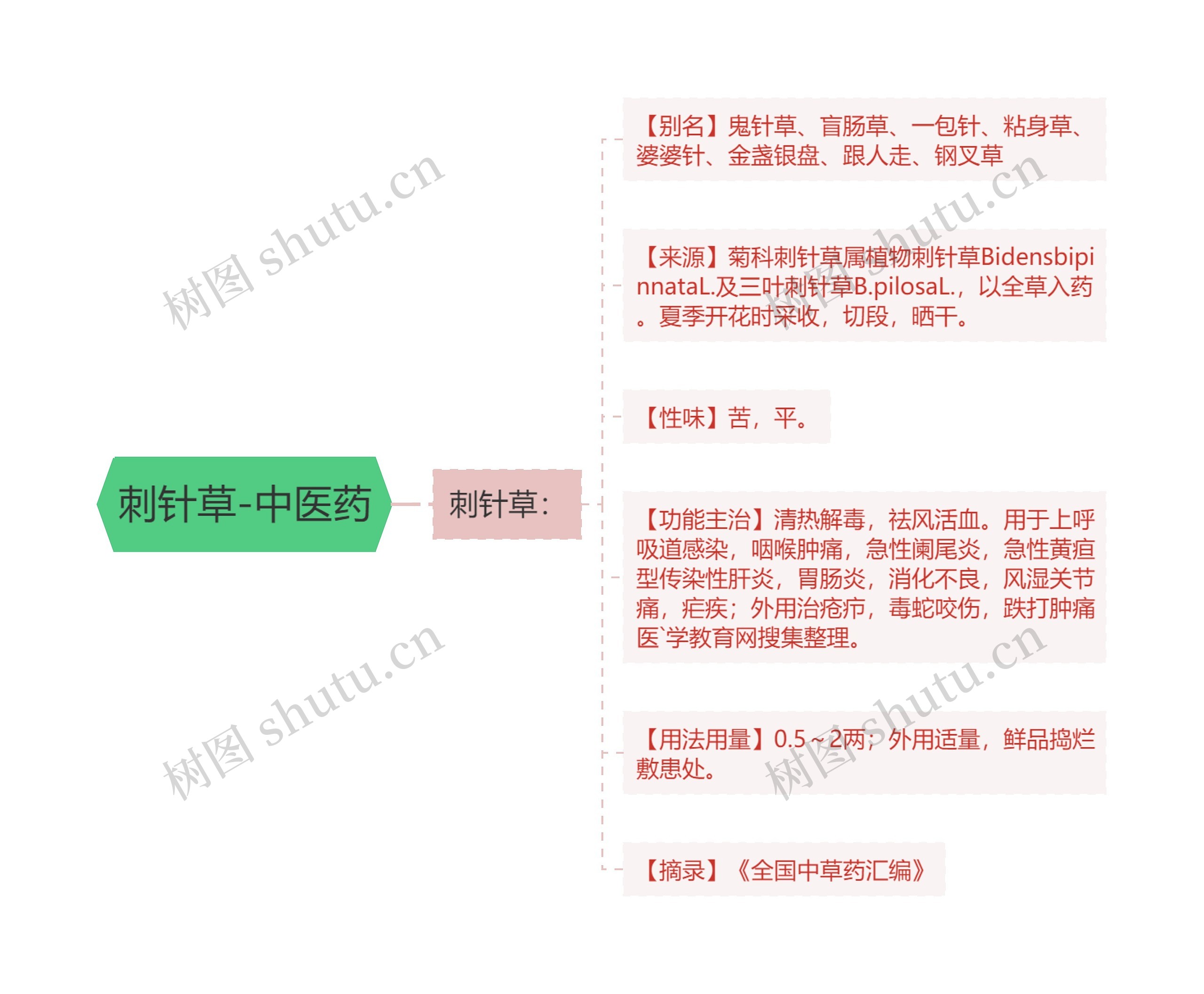 刺针草-中医药思维导图