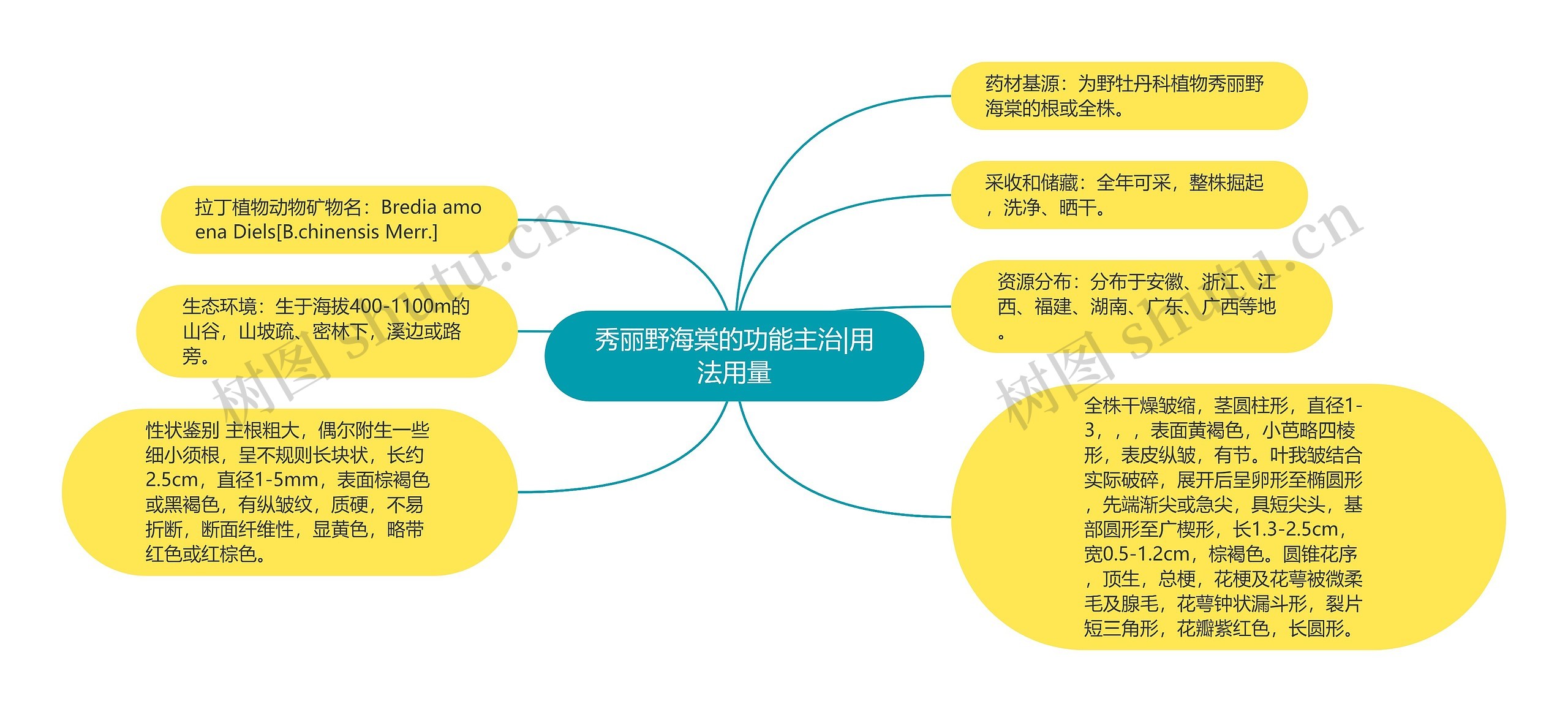 秀丽野海棠的功能主治|用法用量思维导图