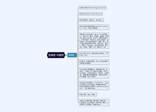 金荞麦-中医药
