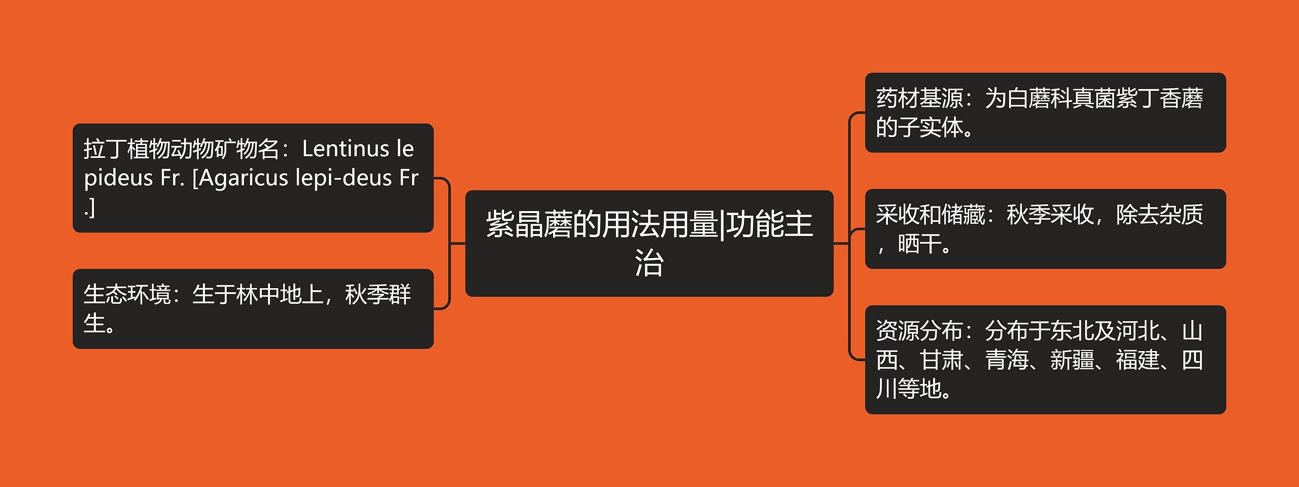 紫晶蘑的用法用量|功能主治