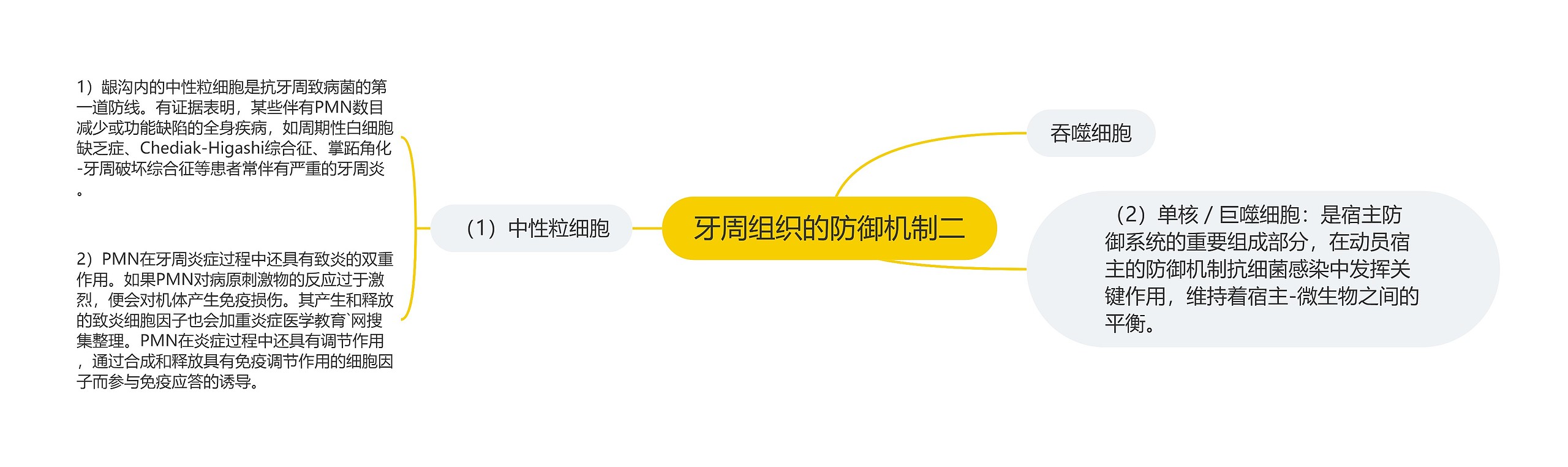 牙周组织的防御机制二 牙周组织的防御机制二