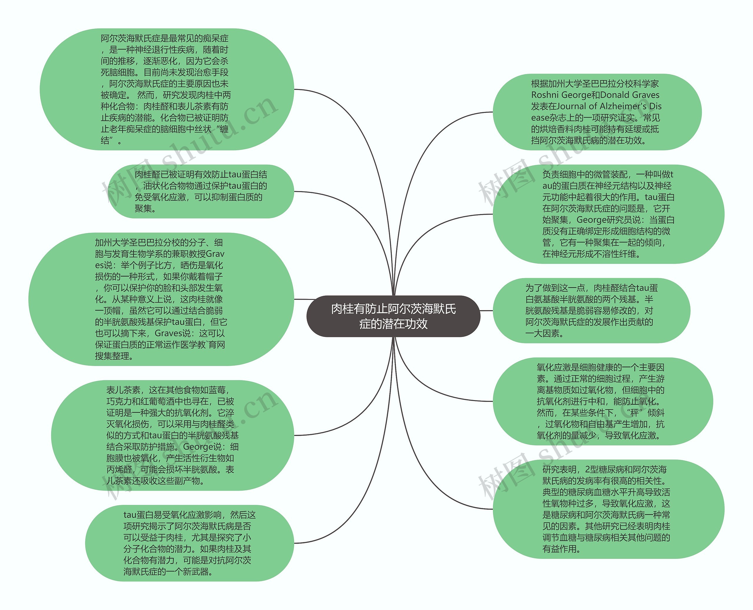 肉桂有防止阿尔茨海默氏症的潜在功效思维导图