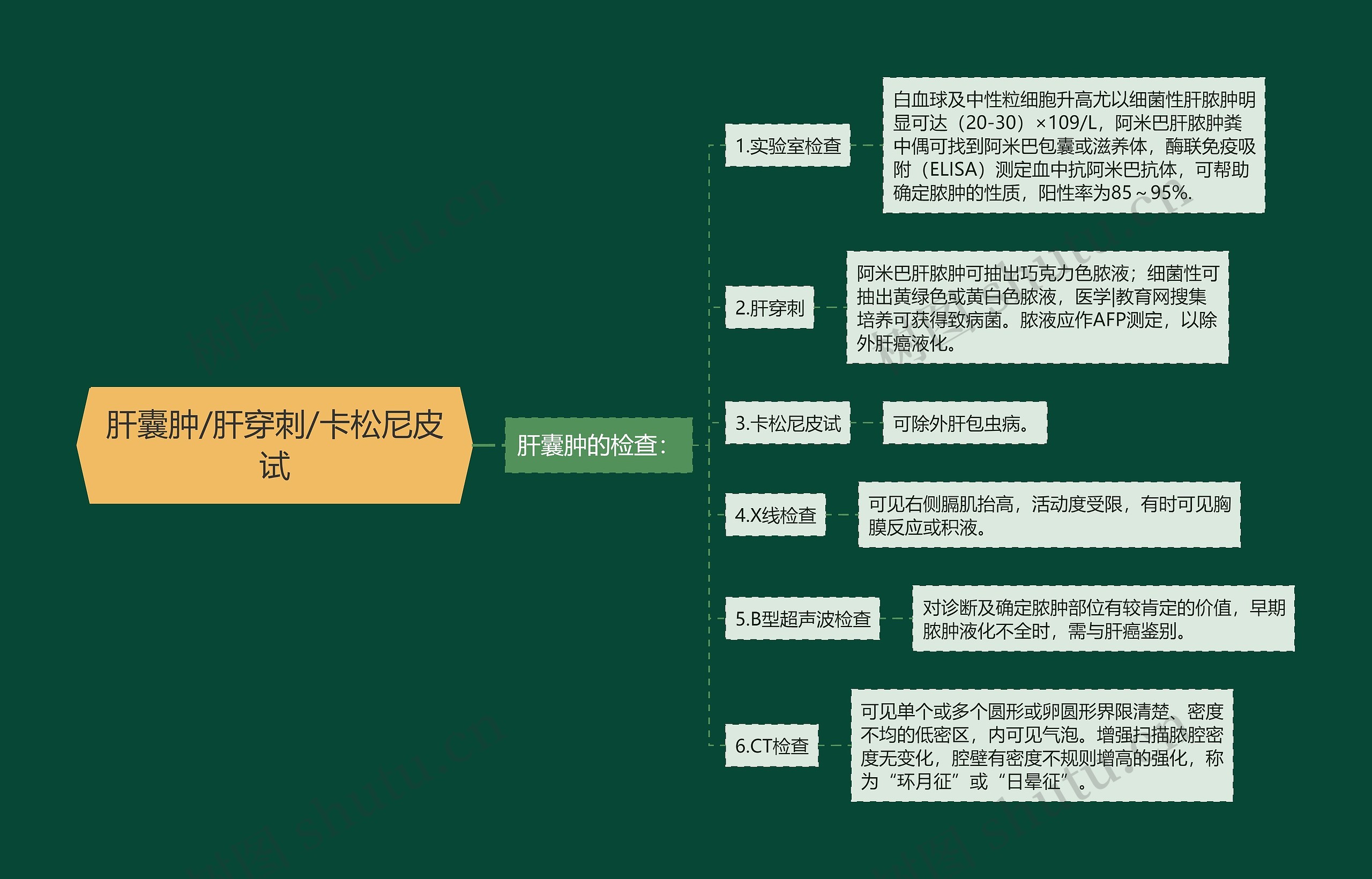 肝囊肿/肝穿刺/卡松尼皮试思维导图