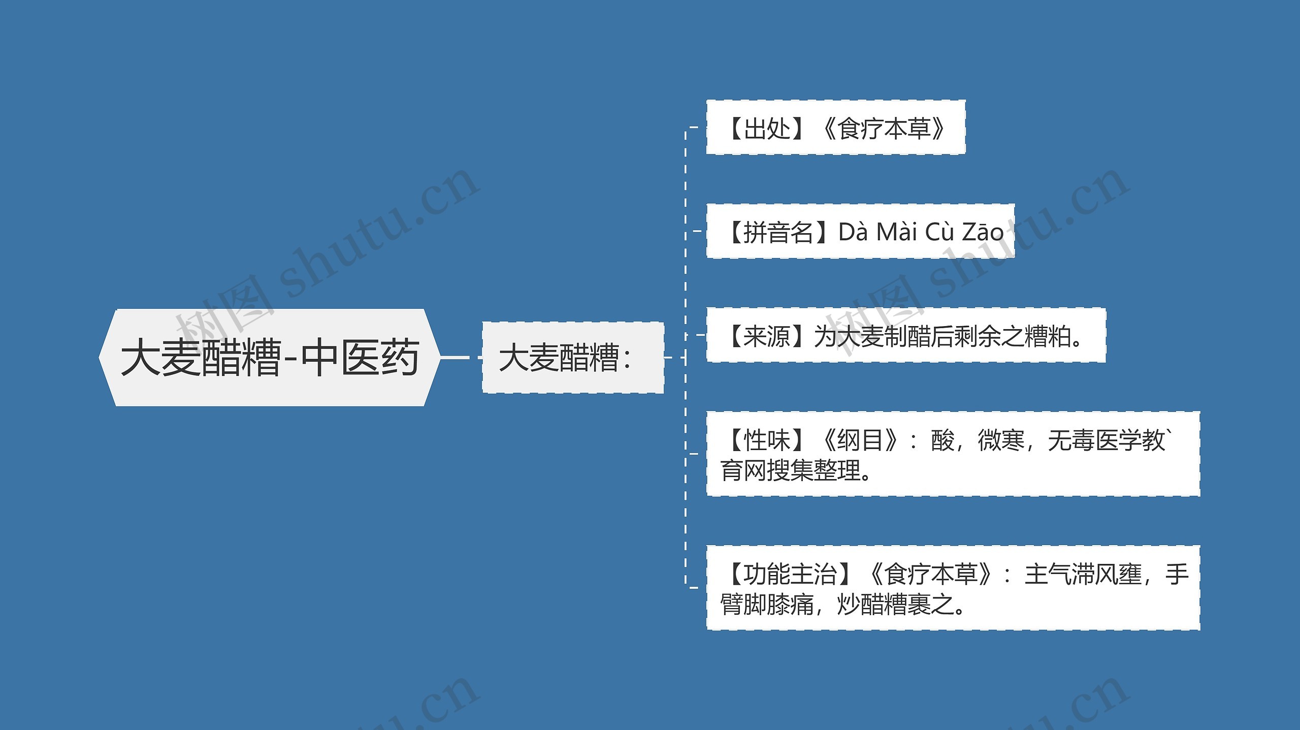 大麦醋糟-中医药思维导图